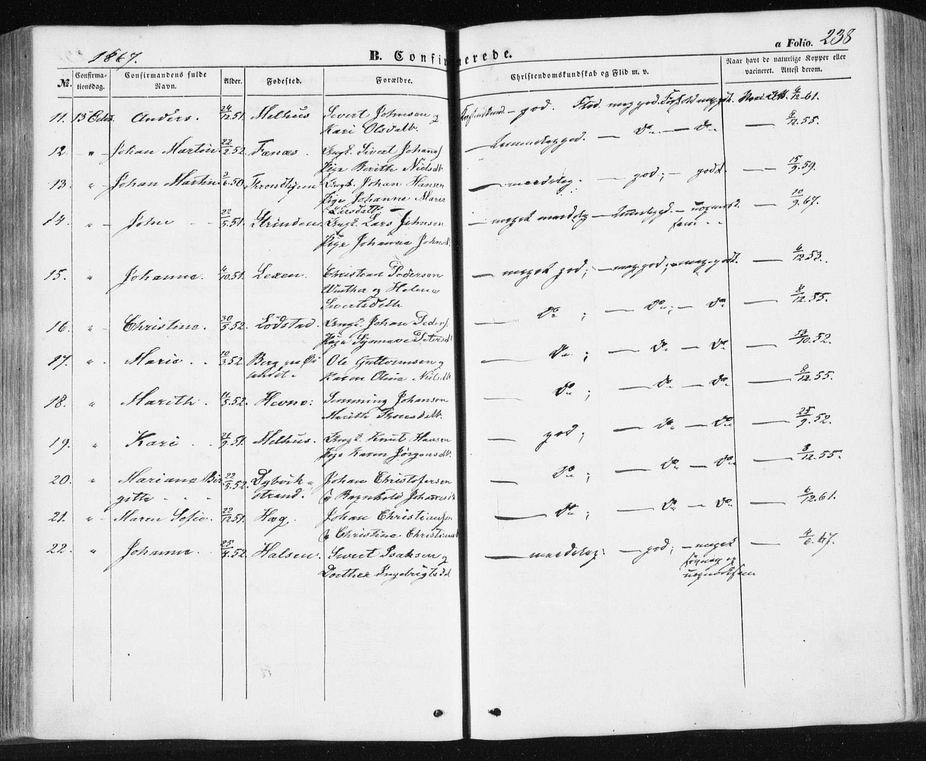 Ministerialprotokoller, klokkerbøker og fødselsregistre - Sør-Trøndelag, AV/SAT-A-1456/659/L0737: Parish register (official) no. 659A07, 1857-1875, p. 238