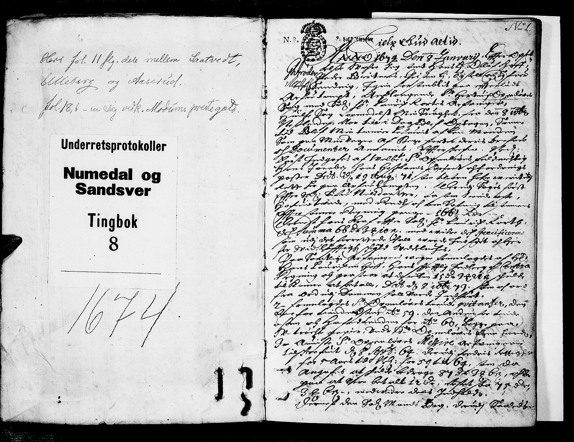 Numedal og Sandsvær sorenskriveri, SAKO/A-128/F/Fa/Faa/L0008: Tingbøker, 1674, p. 0b-1a