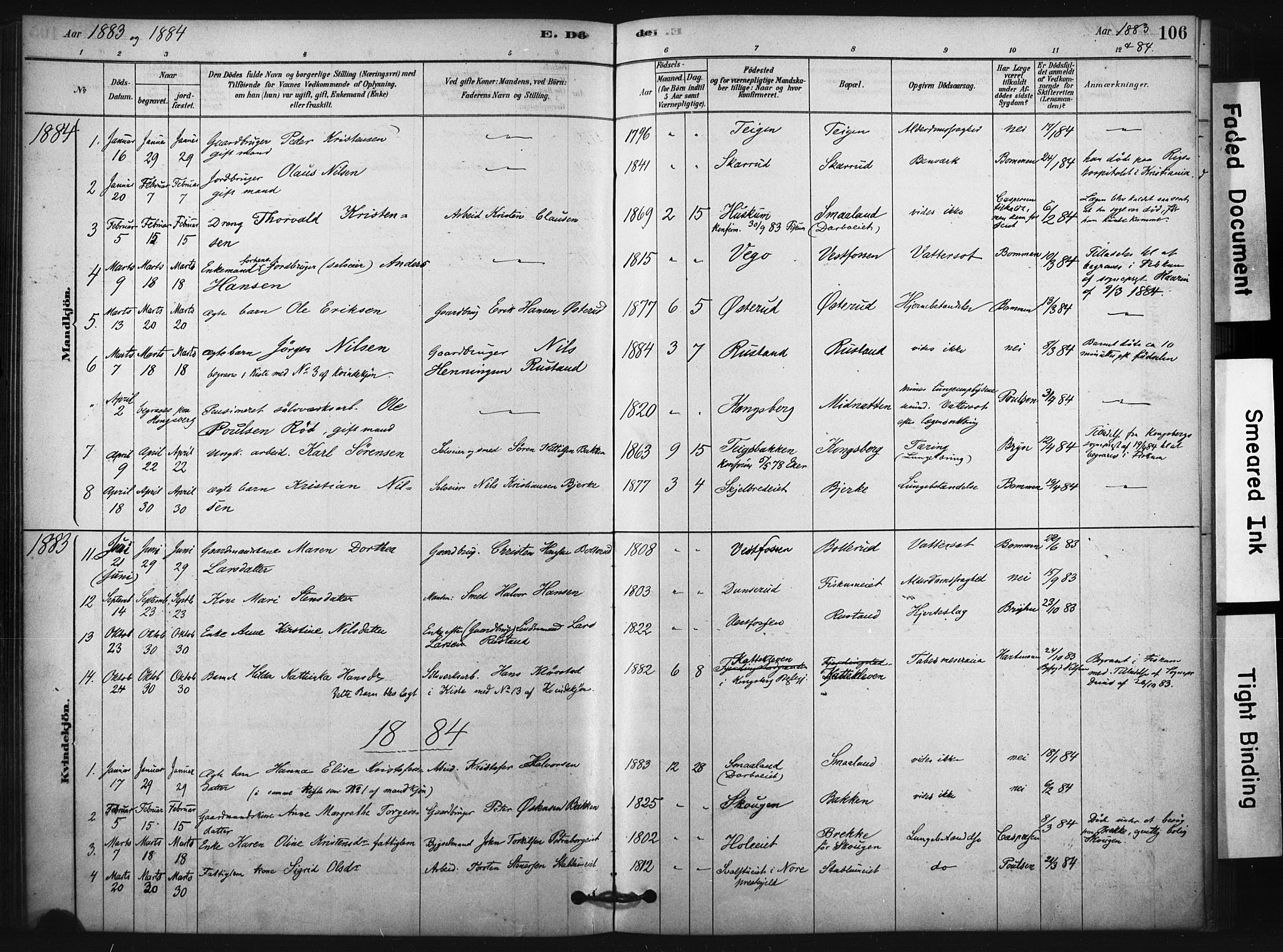 Fiskum kirkebøker, SAKO/A-15/F/Fa/L0002: Parish register (official) no. 2, 1878-1890, p. 106