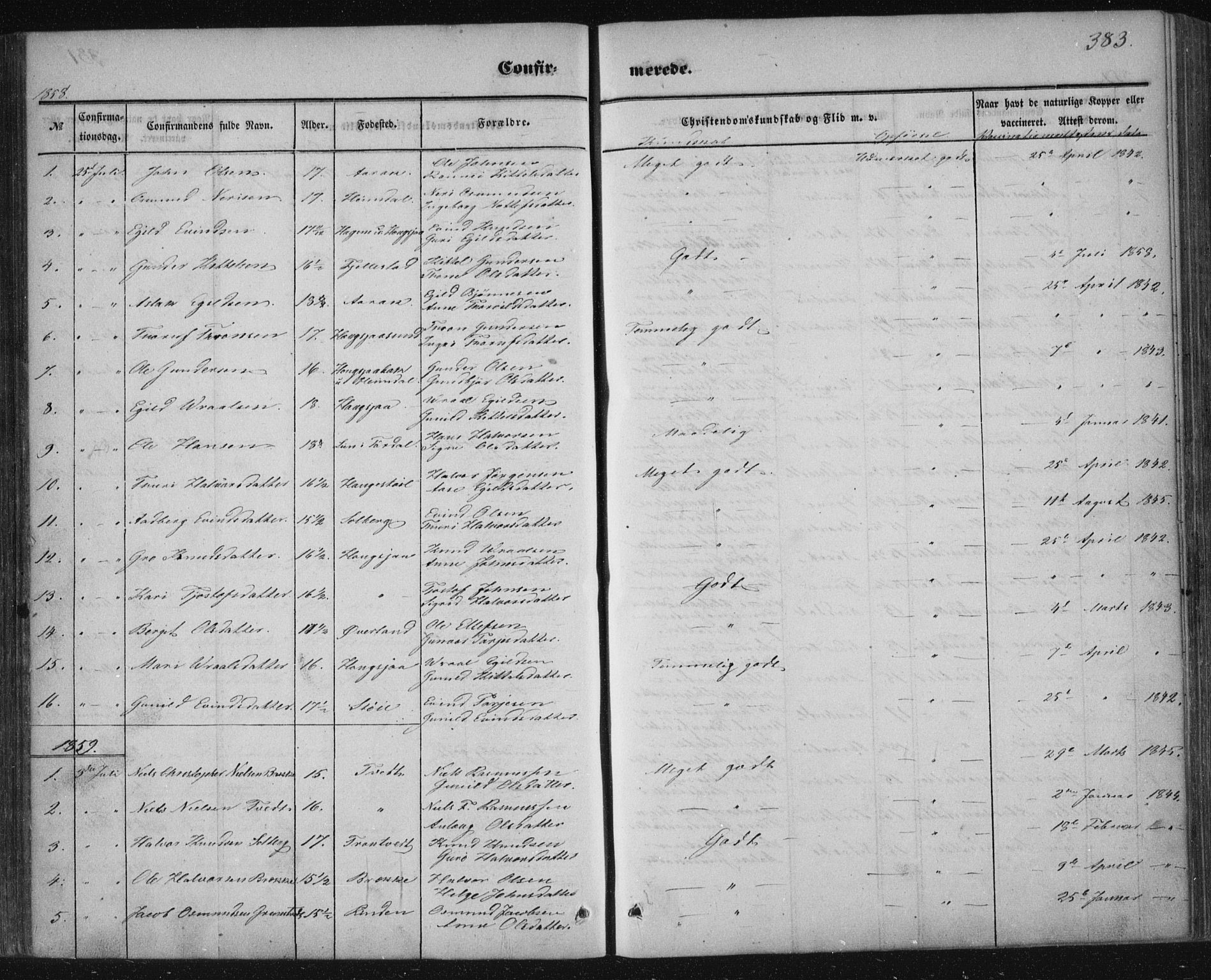 Nissedal kirkebøker, AV/SAKO-A-288/F/Fa/L0003: Parish register (official) no. I 3, 1846-1870, p. 382-383