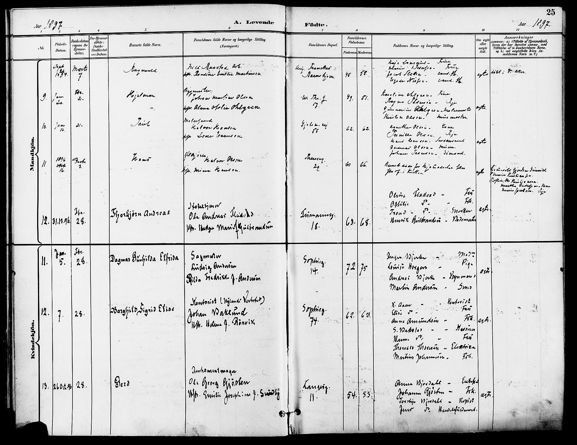 Gamle Aker prestekontor Kirkebøker, AV/SAO-A-10617a/F/L0011: Parish register (official) no. 11, 1896-1901, p. 25