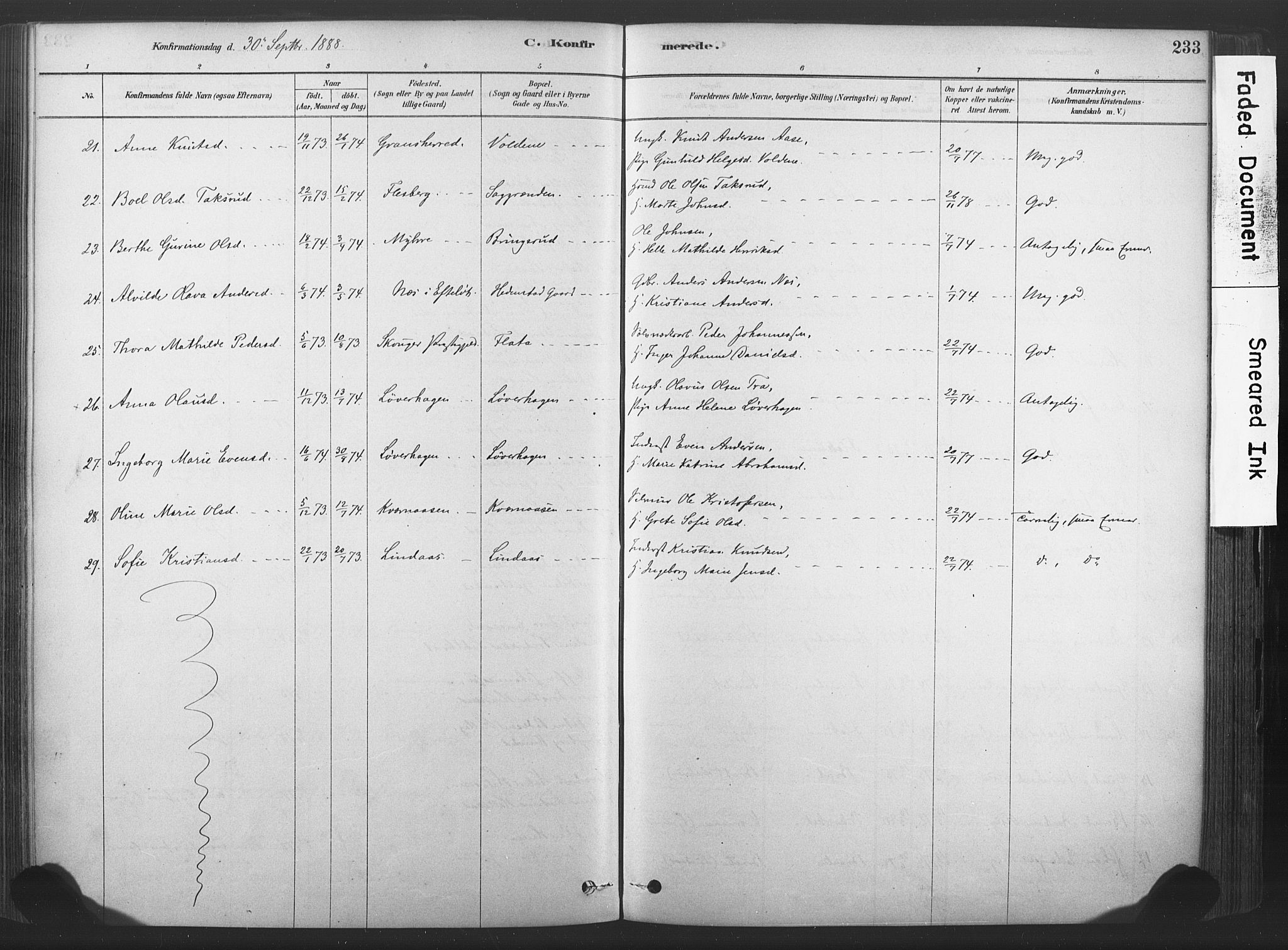 Sandsvær kirkebøker, AV/SAKO-A-244/F/Fd/L0001: Parish register (official) no. IV 1, 1878-1906, p. 233