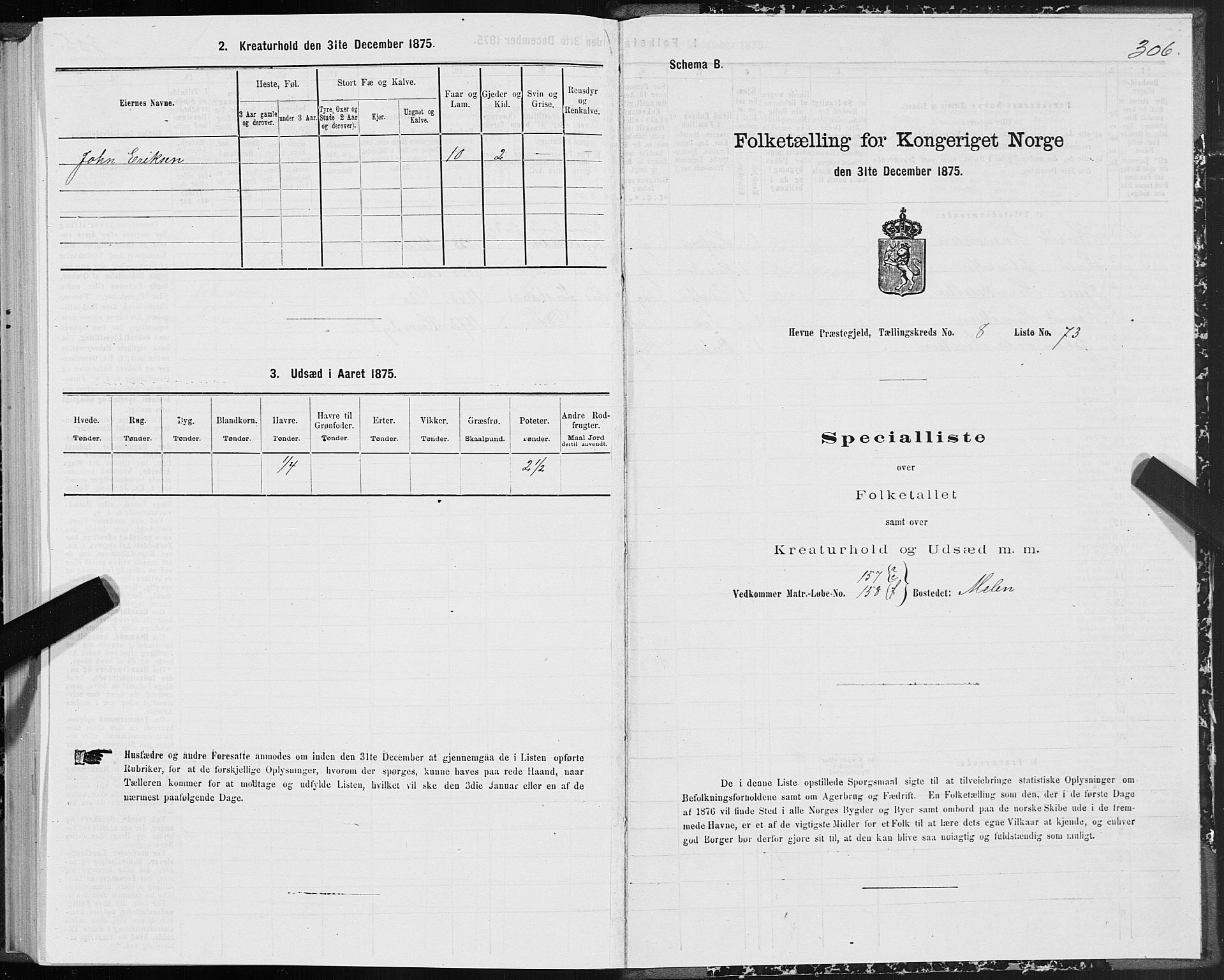 SAT, 1875 census for 1612P Hemne, 1875, p. 4306