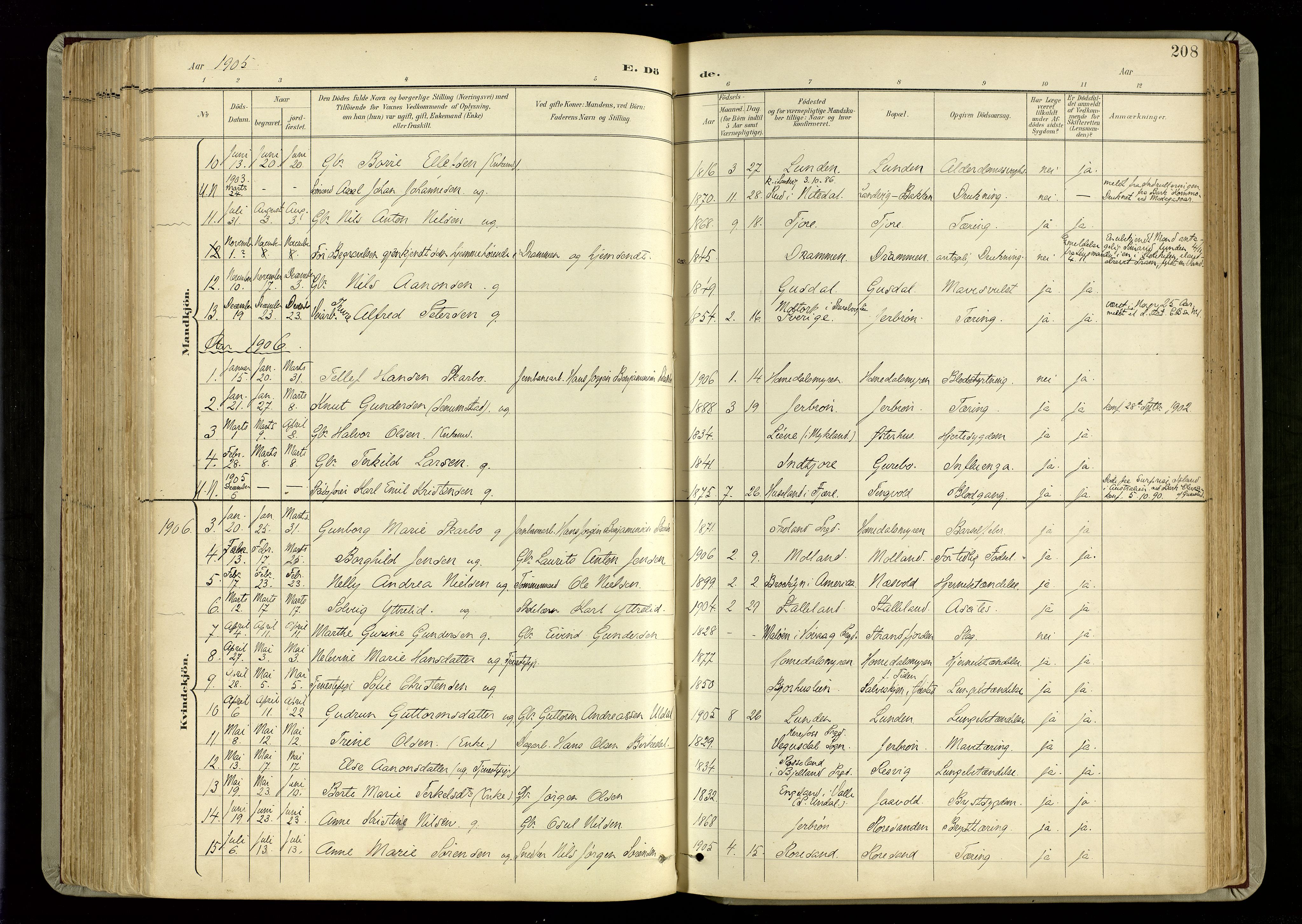 Hommedal sokneprestkontor, SAK/1111-0023/F/Fa/Fab/L0007: Parish register (official) no. A 7, 1898-1924, p. 208