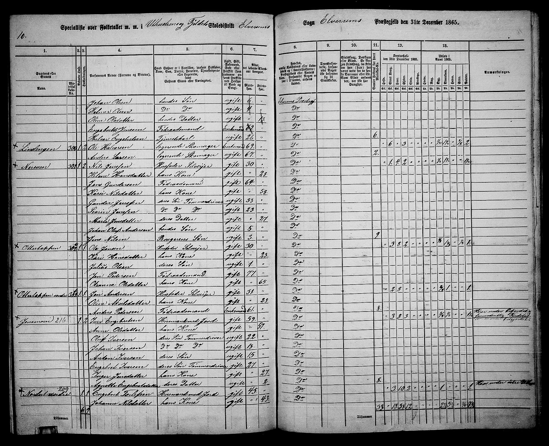 RA, 1865 census for Elverum, 1865, p. 245