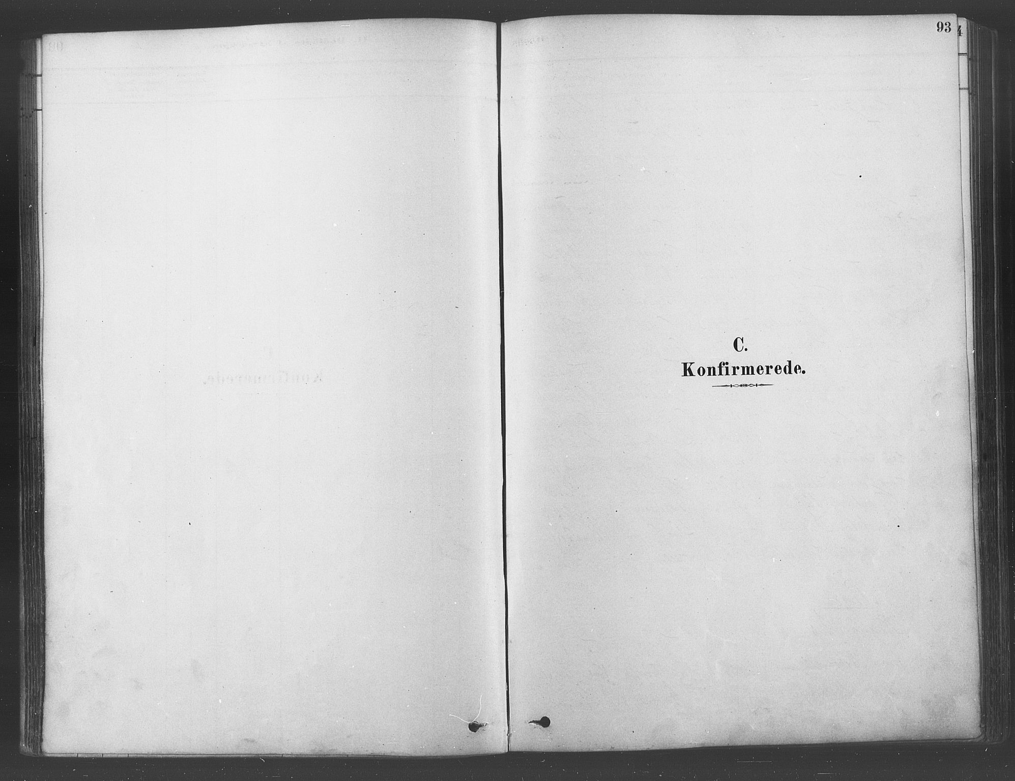 Ullensaker prestekontor Kirkebøker, AV/SAO-A-10236a/F/Fa/L0019: Parish register (official) no. I 19, 1878-1891, p. 93