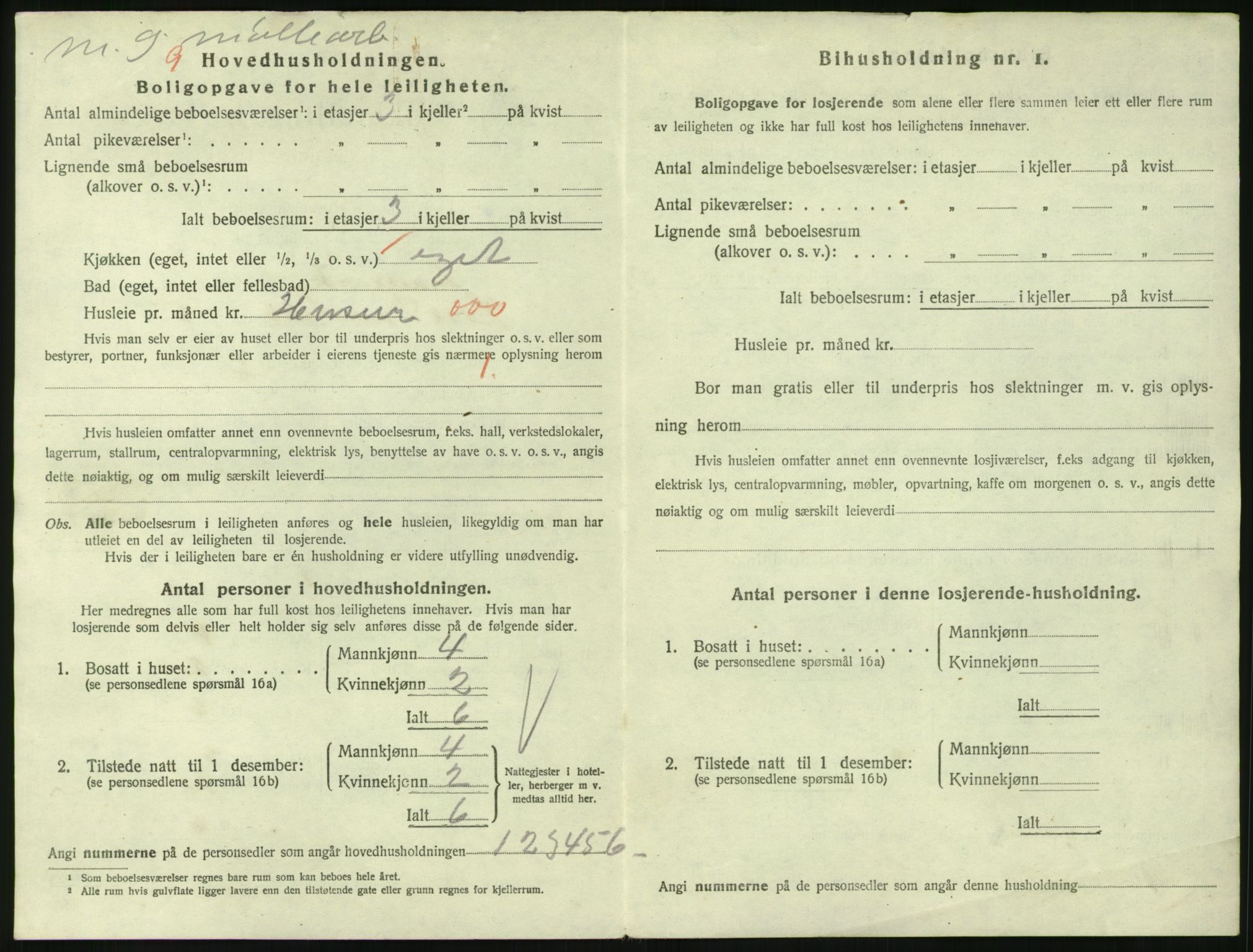 SAKO, 1920 census for Larvik, 1920, p. 3849