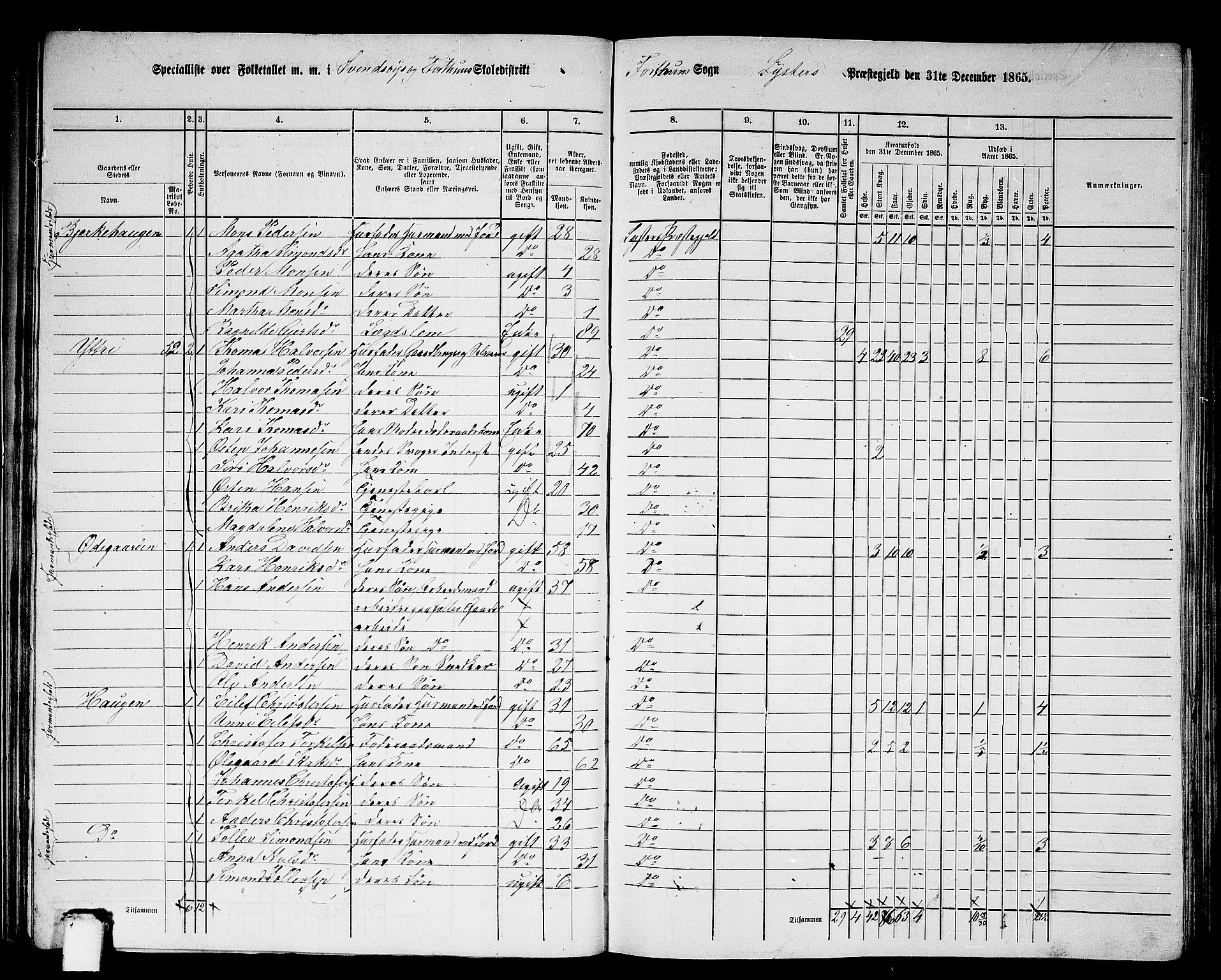 RA, 1865 census for Luster, 1865, p. 49