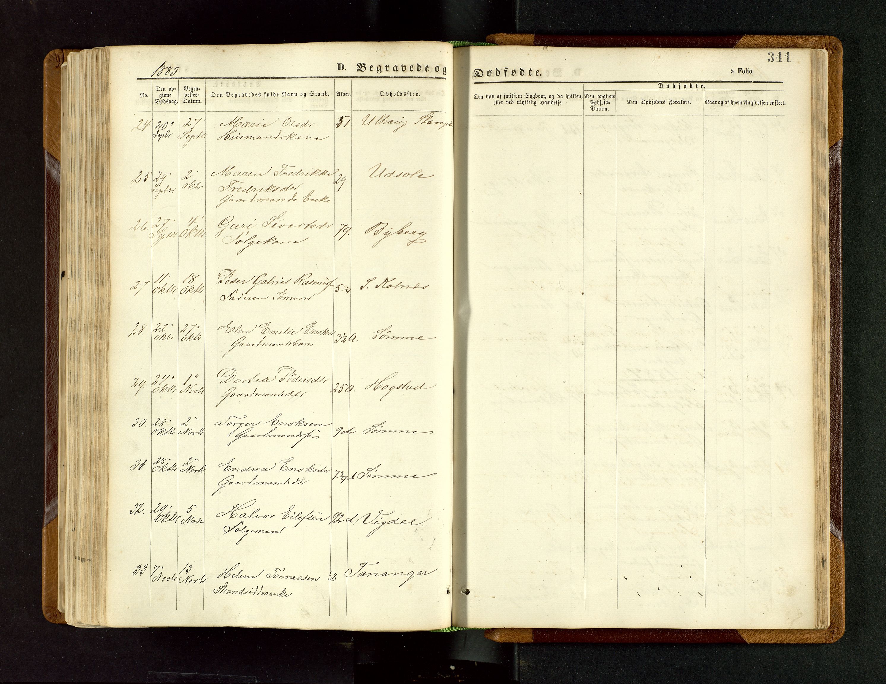 Håland sokneprestkontor, SAST/A-101802/001/30BB/L0003: Parish register (copy) no. B 3, 1873-1893, p. 341