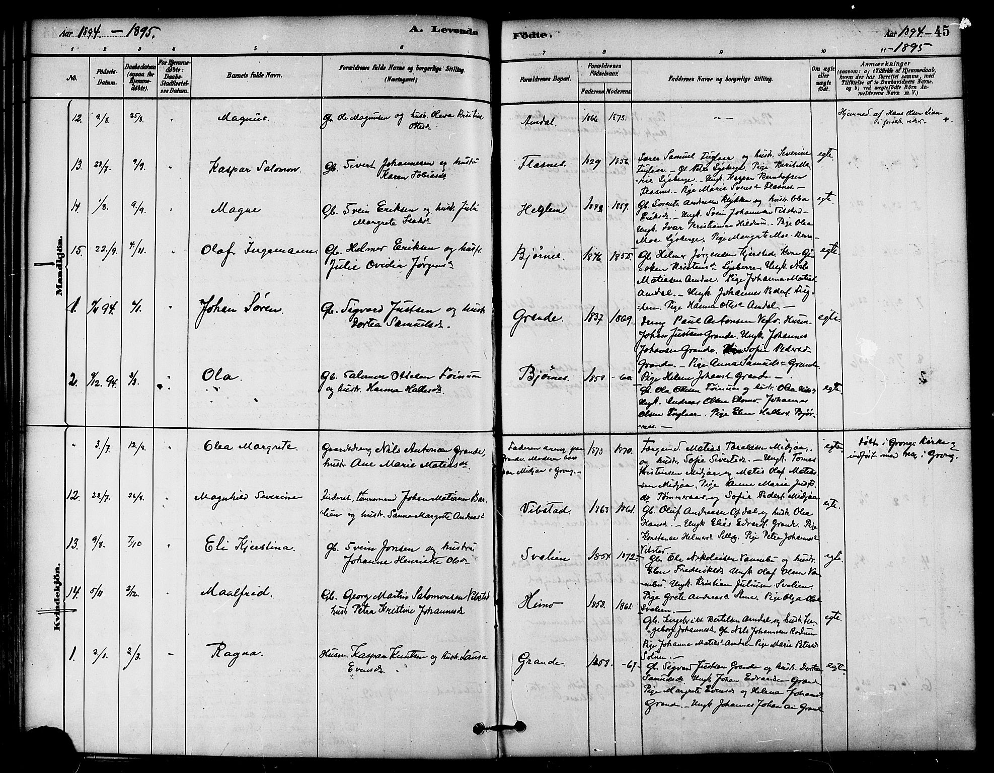 Ministerialprotokoller, klokkerbøker og fødselsregistre - Nord-Trøndelag, SAT/A-1458/764/L0555: Parish register (official) no. 764A10, 1881-1896, p. 45