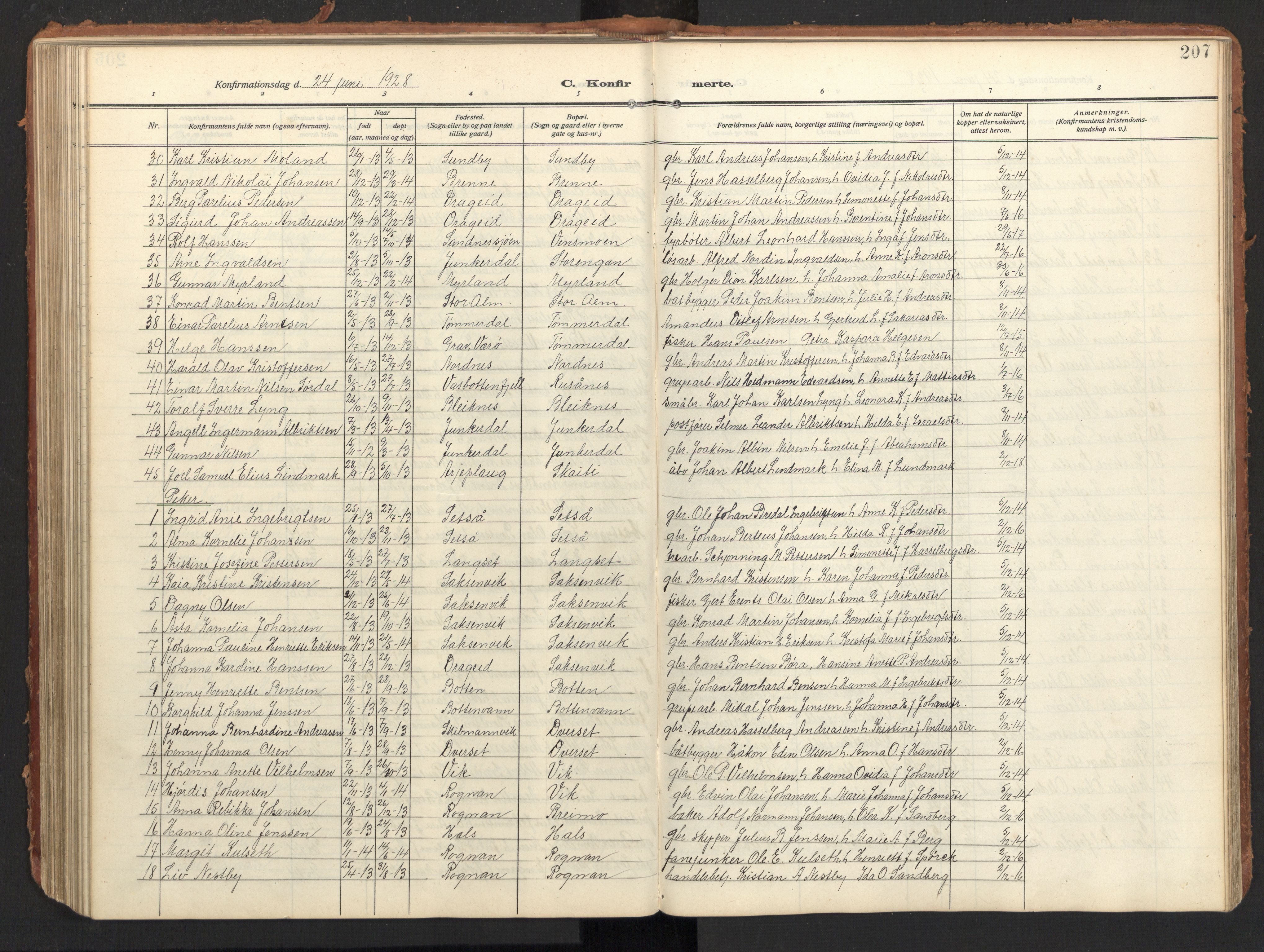 Ministerialprotokoller, klokkerbøker og fødselsregistre - Nordland, AV/SAT-A-1459/847/L0683: Parish register (copy) no. 847C11, 1908-1929, p. 207