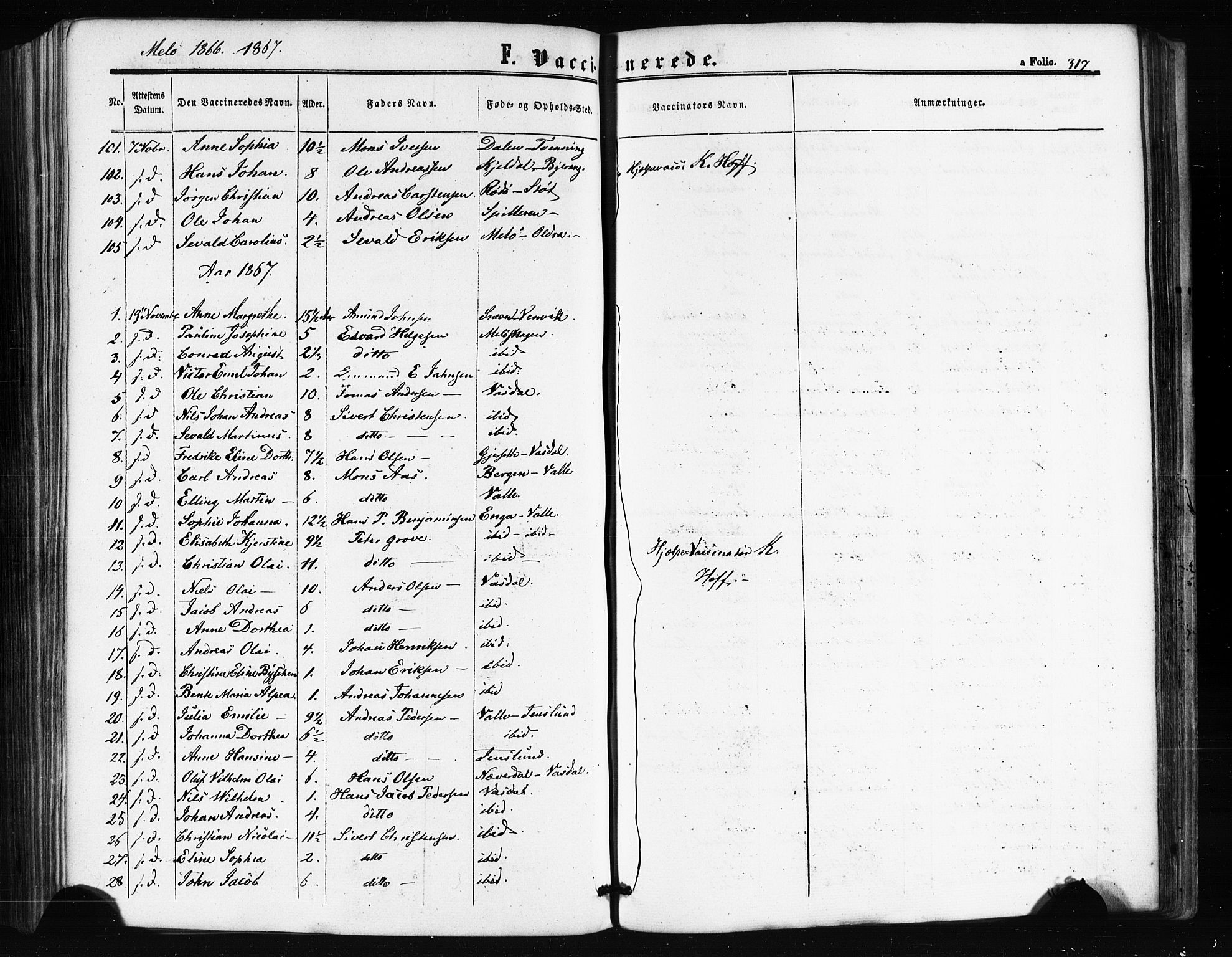 Ministerialprotokoller, klokkerbøker og fødselsregistre - Nordland, AV/SAT-A-1459/841/L0607: Parish register (official) no. 841A11 /2, 1863-1877, p. 317