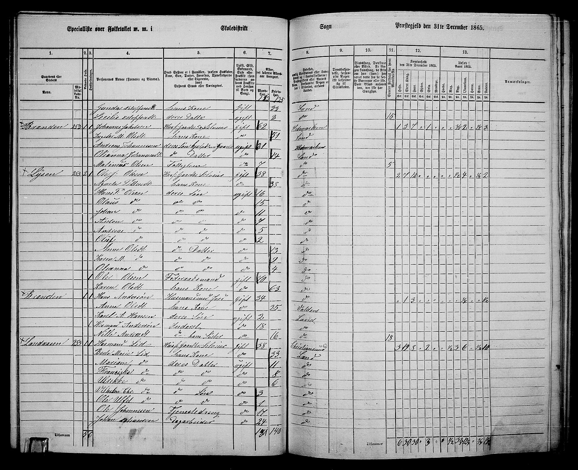 RA, 1865 census for Land, 1865, p. 298