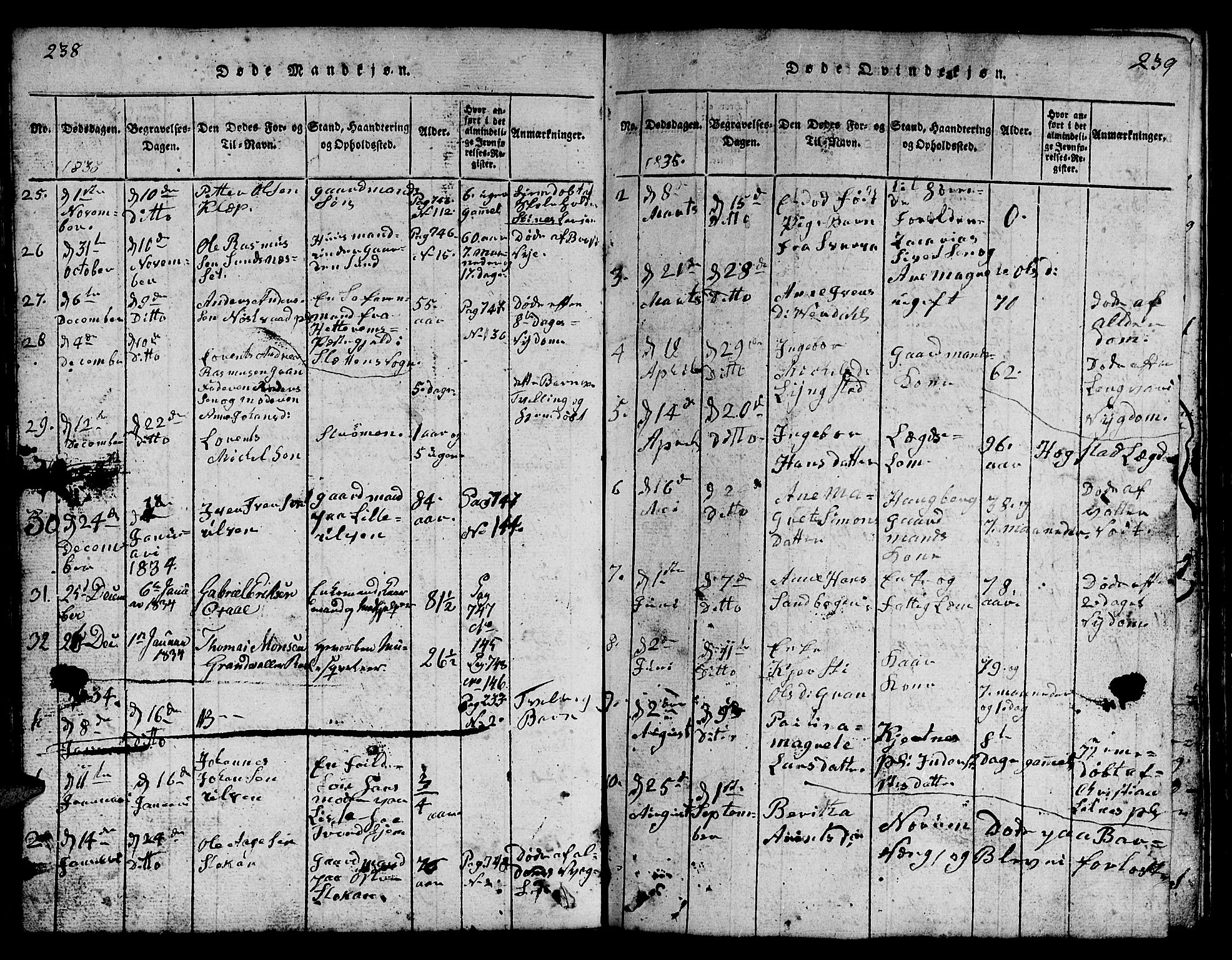 Ministerialprotokoller, klokkerbøker og fødselsregistre - Nord-Trøndelag, SAT/A-1458/730/L0298: Parish register (copy) no. 730C01, 1816-1849, p. 238-239