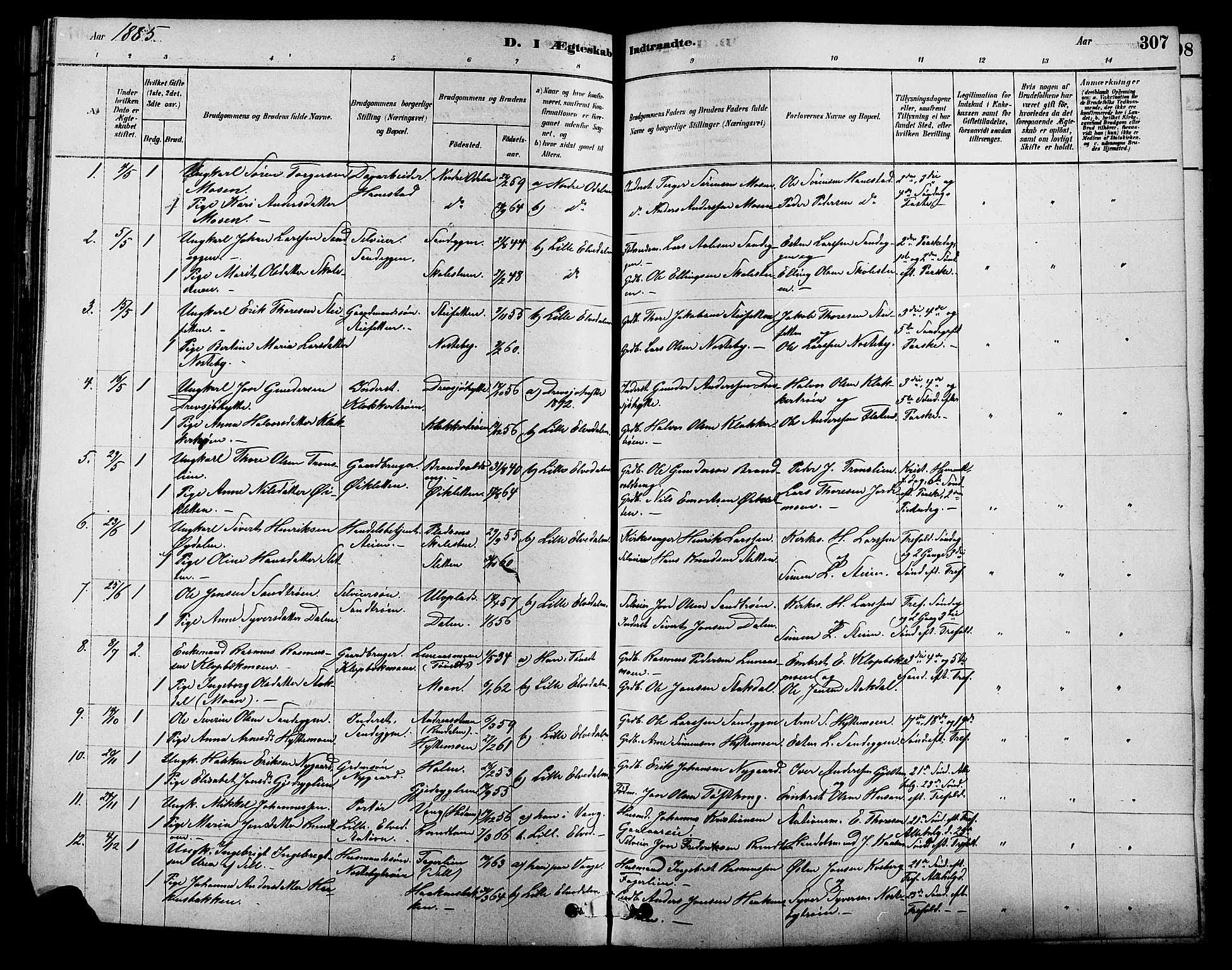 Alvdal prestekontor, SAH/PREST-060/H/Ha/Hab/L0003: Parish register (copy) no. 3, 1878-1907, p. 307