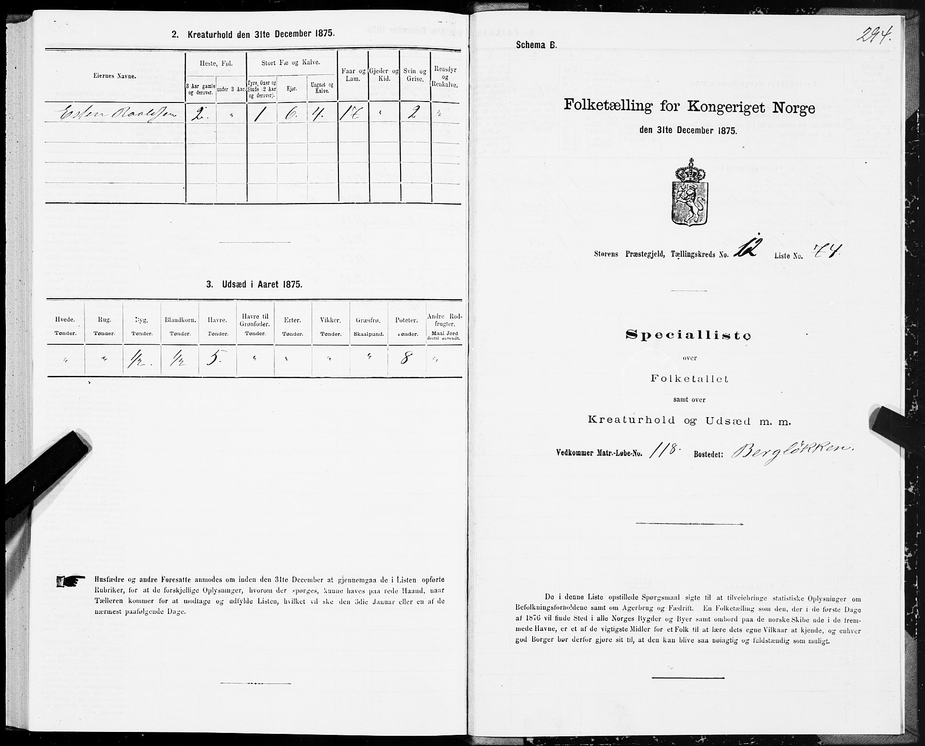 SAT, 1875 census for 1648P Støren, 1875, p. 6294