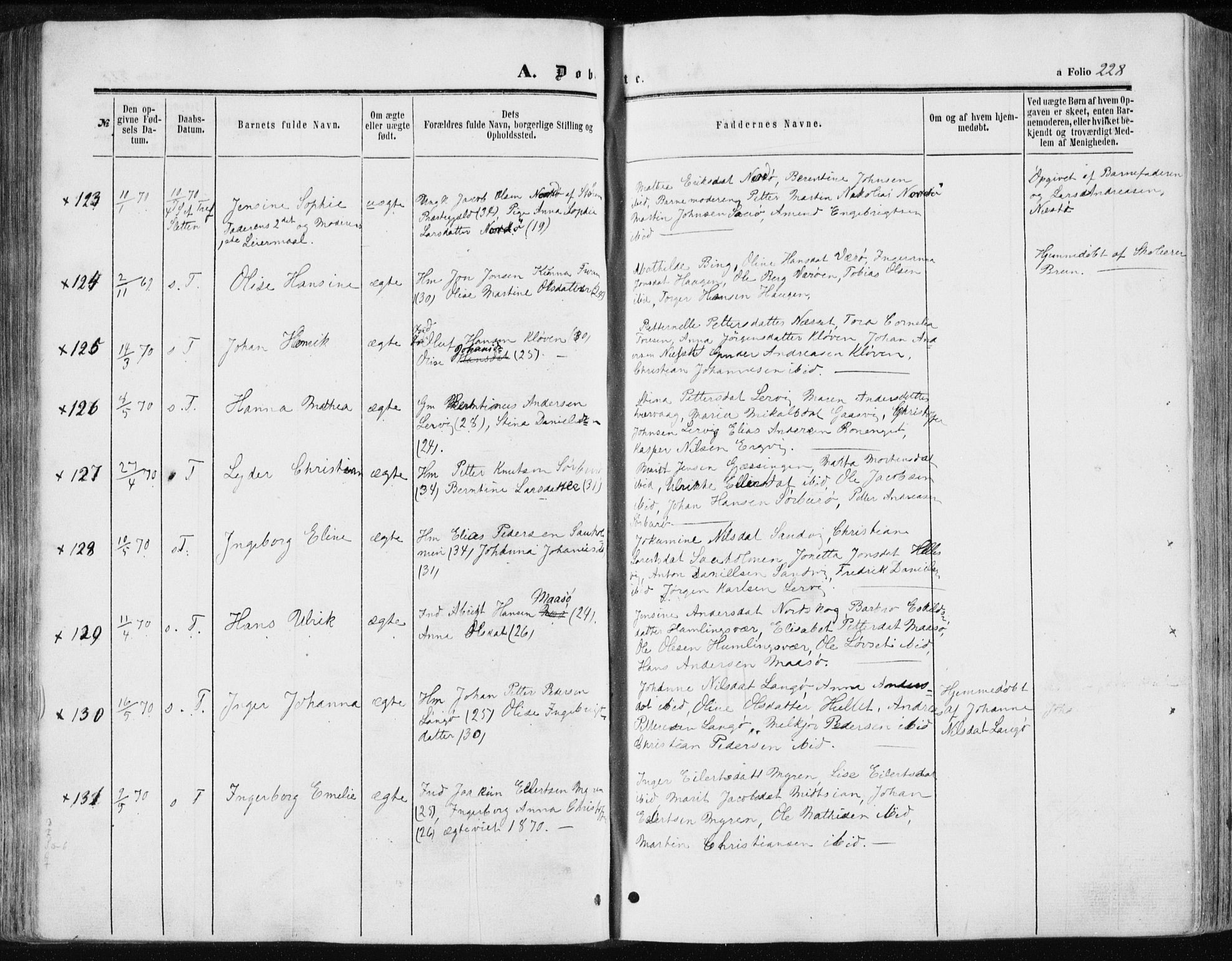 Ministerialprotokoller, klokkerbøker og fødselsregistre - Sør-Trøndelag, AV/SAT-A-1456/634/L0531: Parish register (official) no. 634A07, 1861-1870, p. 228