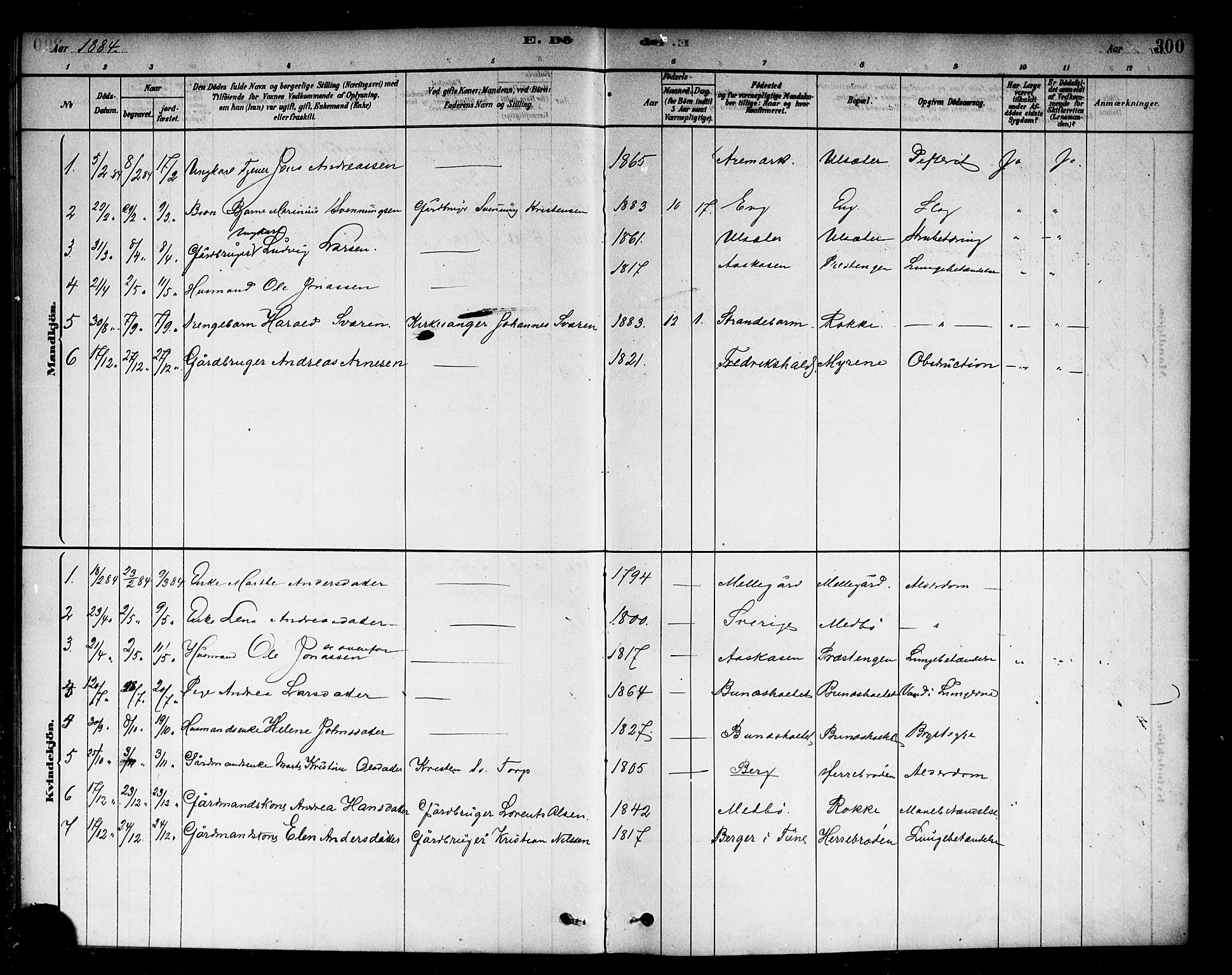 Berg prestekontor Kirkebøker, AV/SAO-A-10902/F/Fc/L0001: Parish register (official) no. III 1, 1878-1887, p. 300