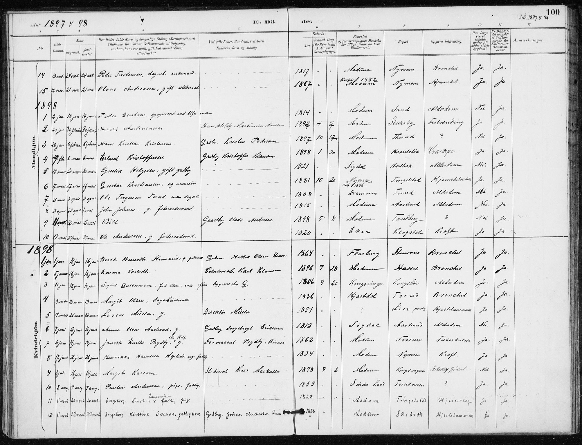 Modum kirkebøker, AV/SAKO-A-234/F/Fa/L0016: Parish register (official) no. 16, 1890-1899, p. 100