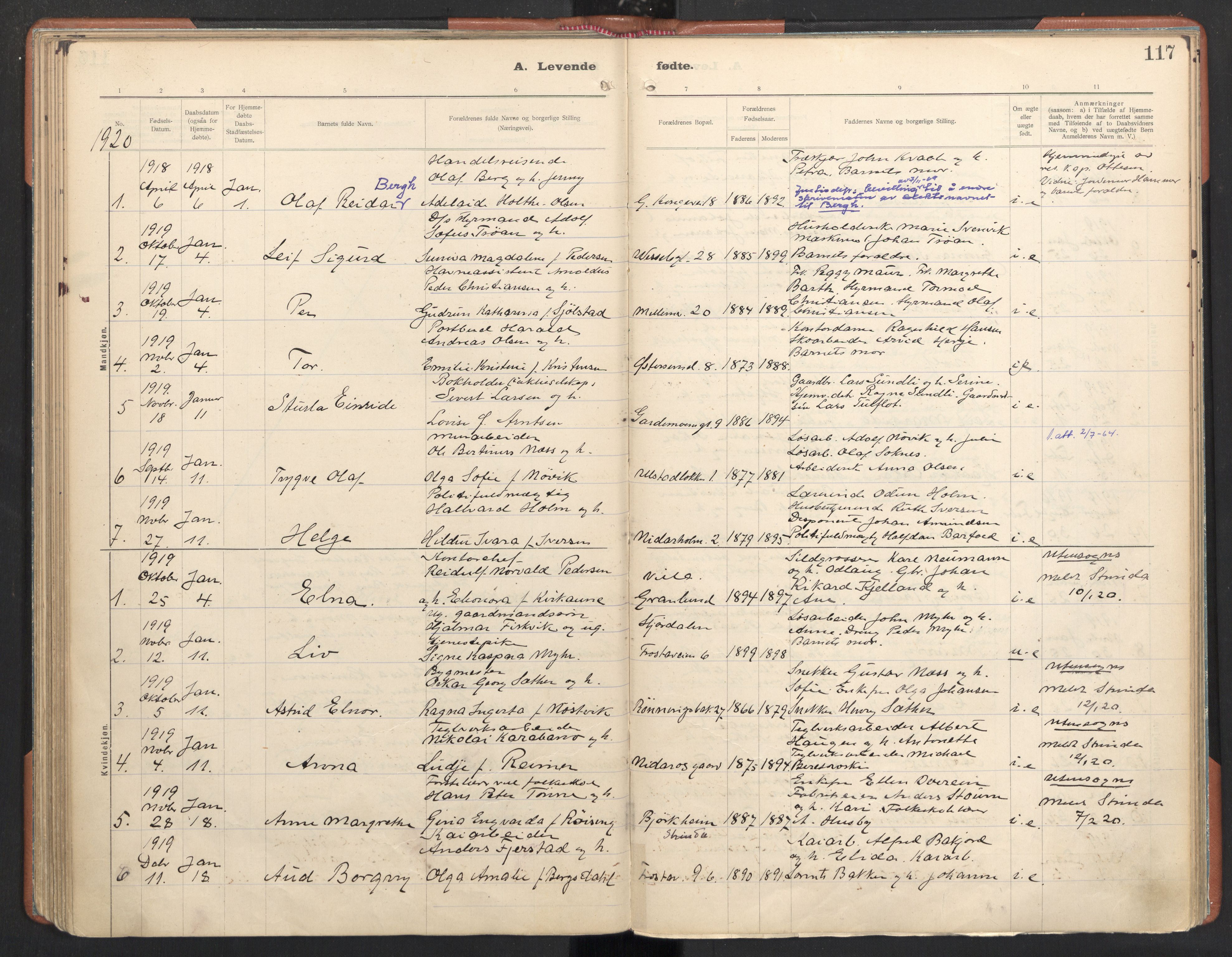Ministerialprotokoller, klokkerbøker og fødselsregistre - Sør-Trøndelag, SAT/A-1456/605/L0246: Parish register (official) no. 605A08, 1916-1920, p. 117