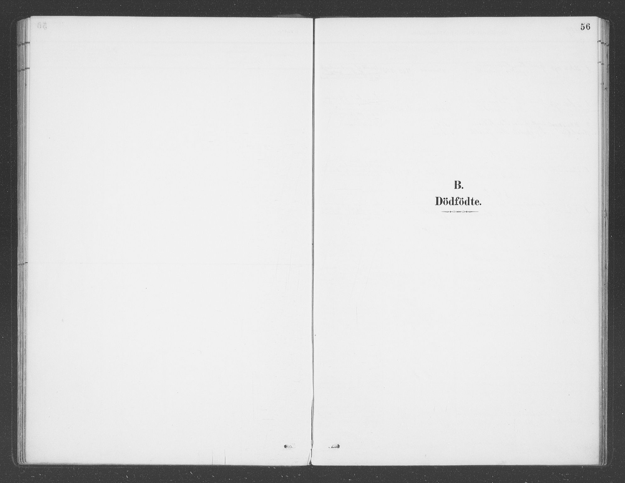 Balestrand sokneprestembete, AV/SAB-A-79601/H/Haa/Haab/L0001: Parish register (official) no. B  1, 1889-1910, p. 56