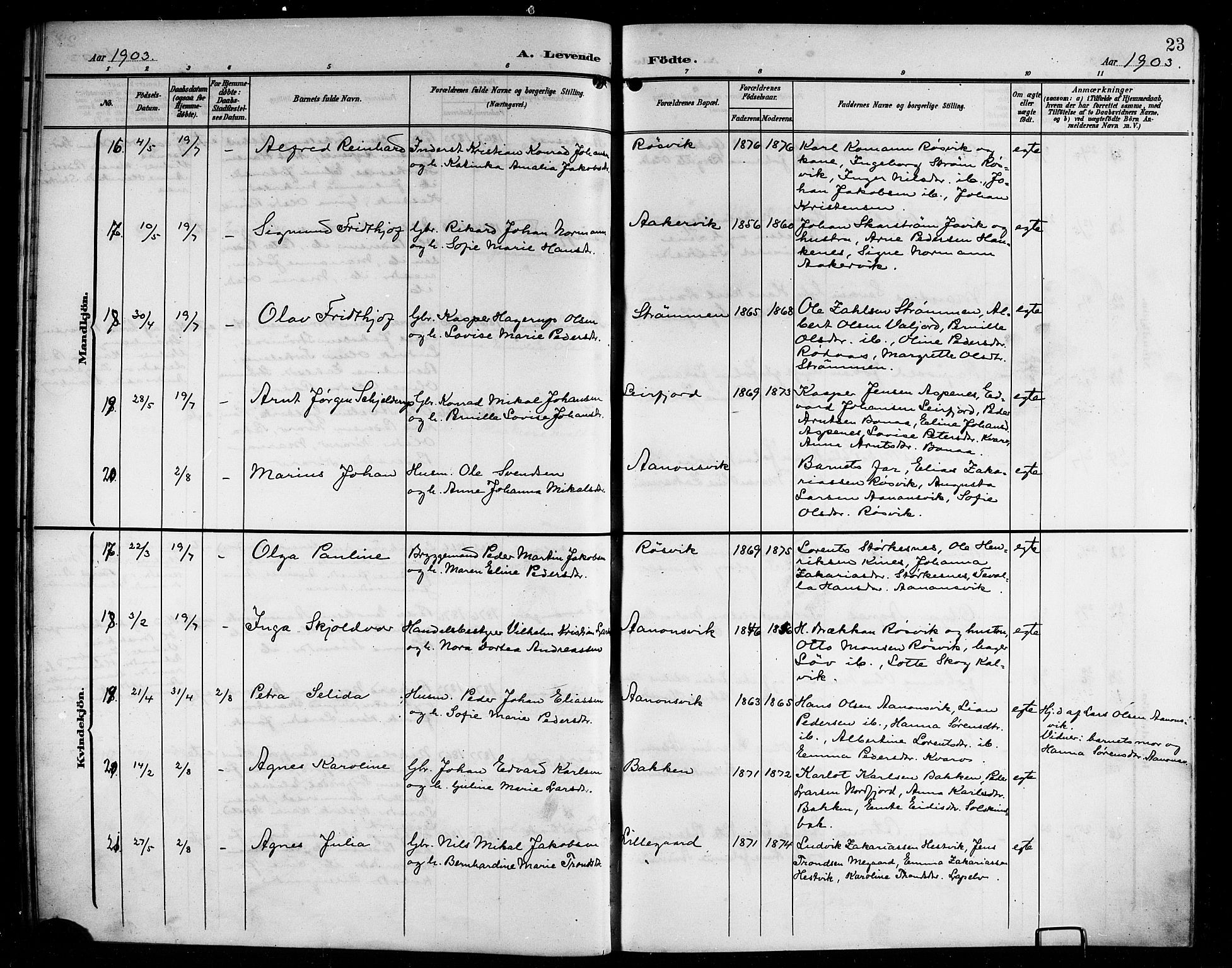 Ministerialprotokoller, klokkerbøker og fødselsregistre - Nordland, AV/SAT-A-1459/854/L0786: Parish register (copy) no. 854C02, 1901-1912, p. 23