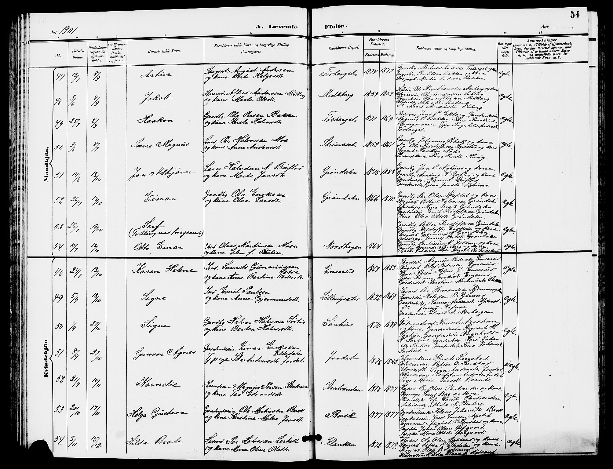 Trysil prestekontor, SAH/PREST-046/H/Ha/Hab/L0006: Parish register (copy) no. 6, 1896-1912, p. 54