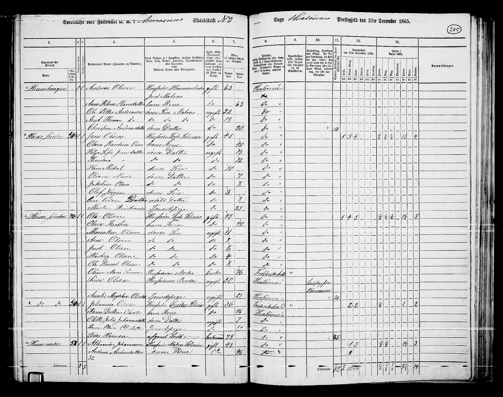 RA, 1865 census for Hvaler, 1865, p. 45