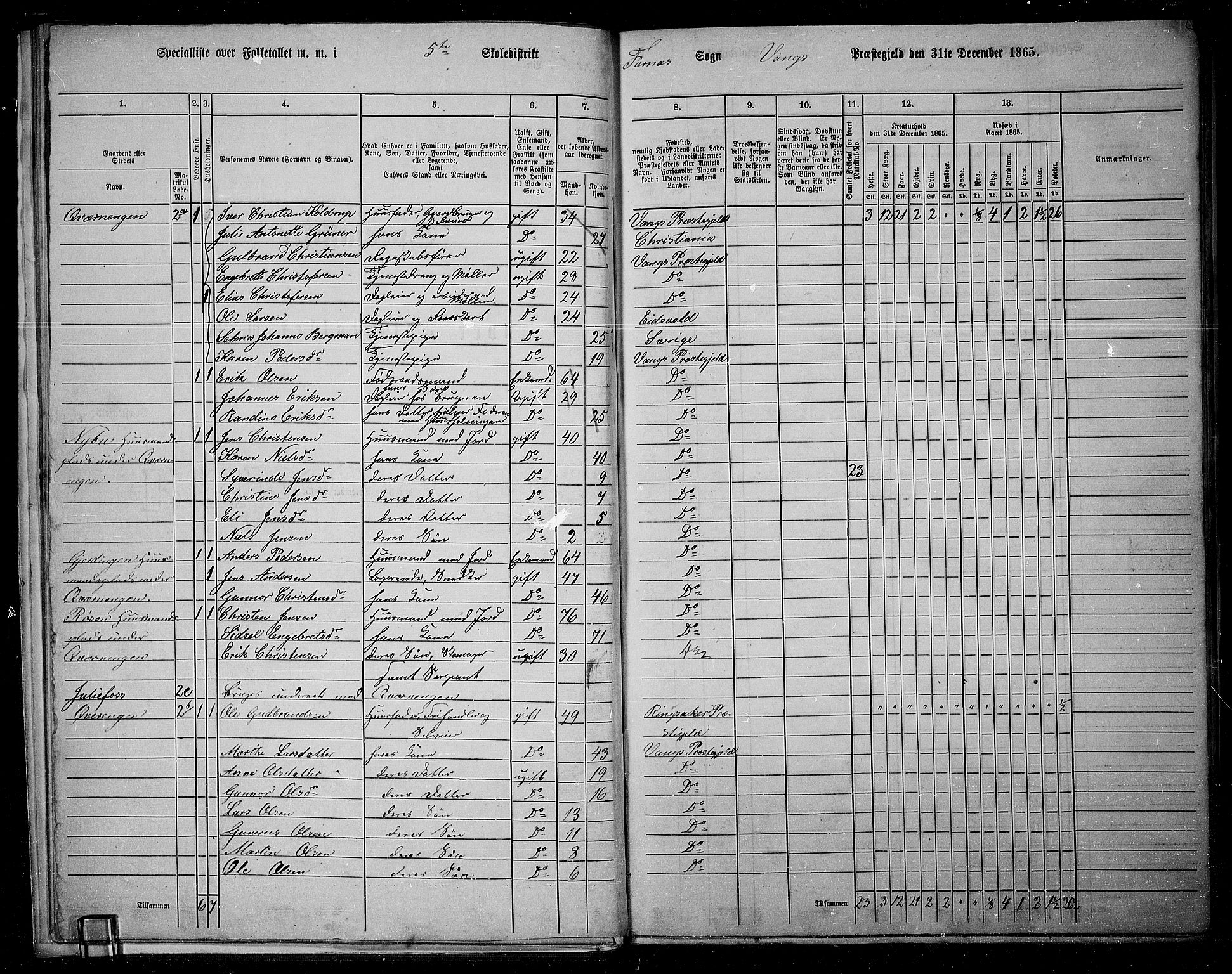 RA, 1865 census for Vang/Vang og Furnes, 1865, p. 15