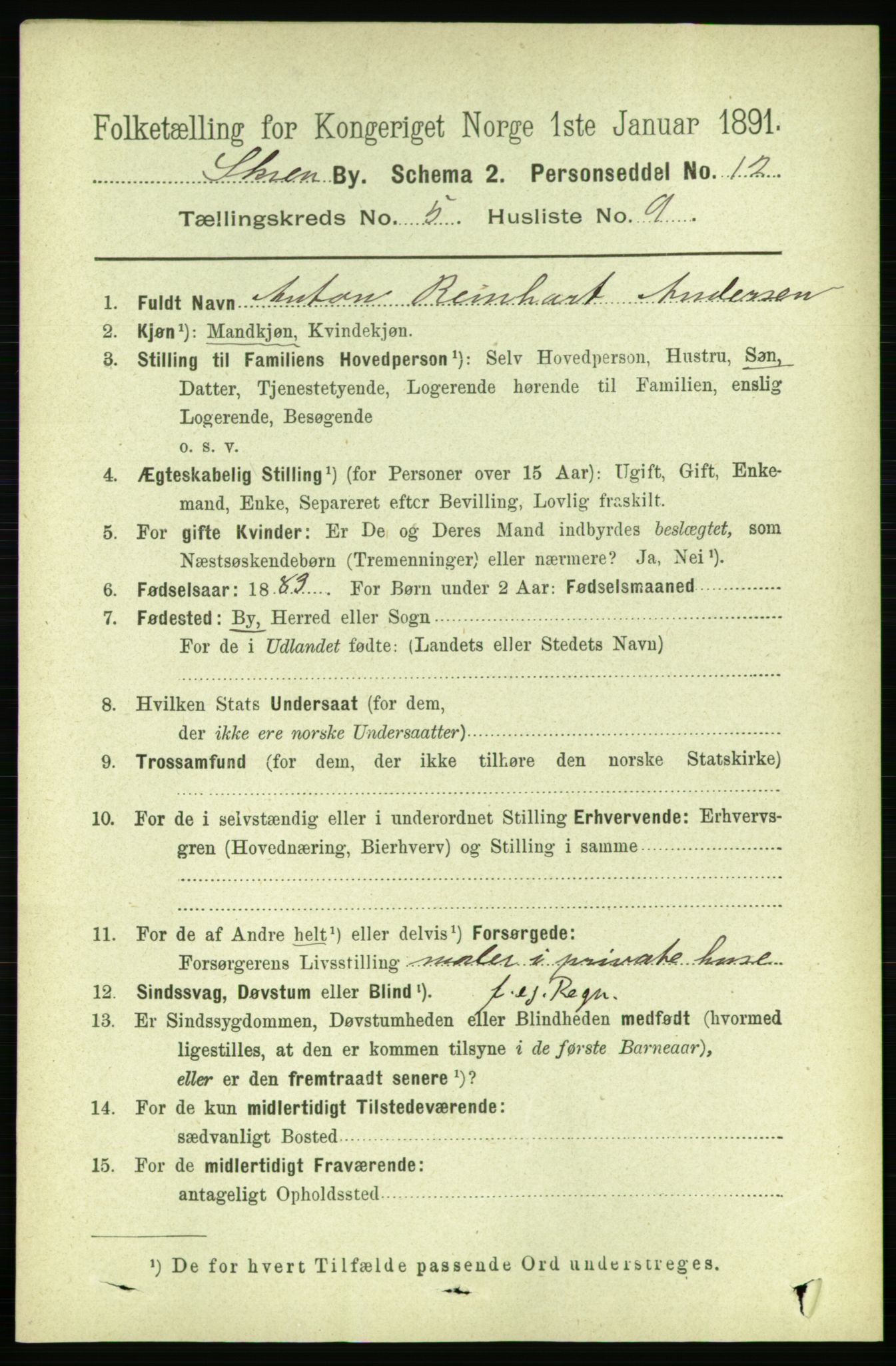 RA, 1891 census for 0806 Skien, 1891, p. 2990