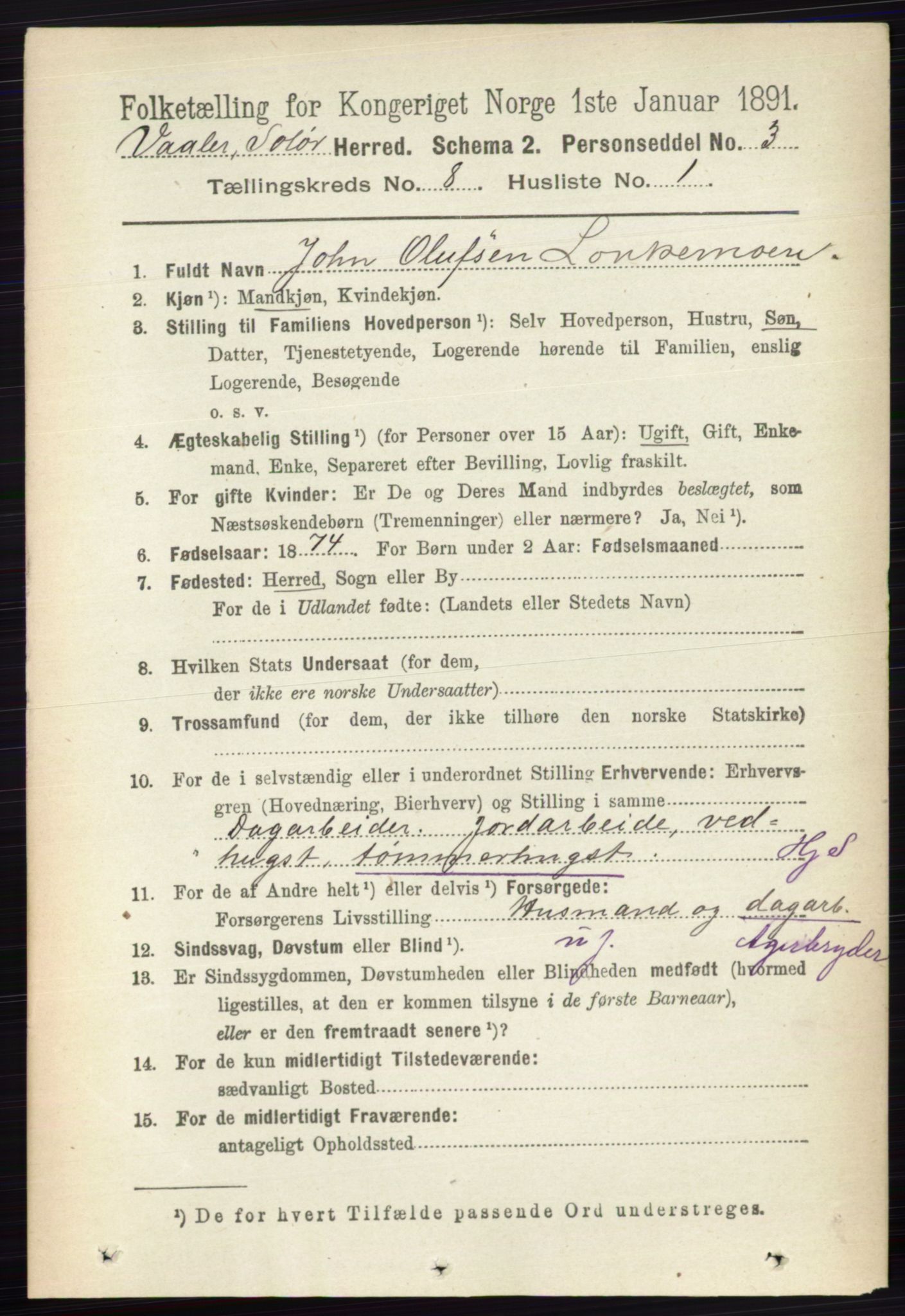 RA, 1891 census for 0426 Våler, 1891, p. 3354