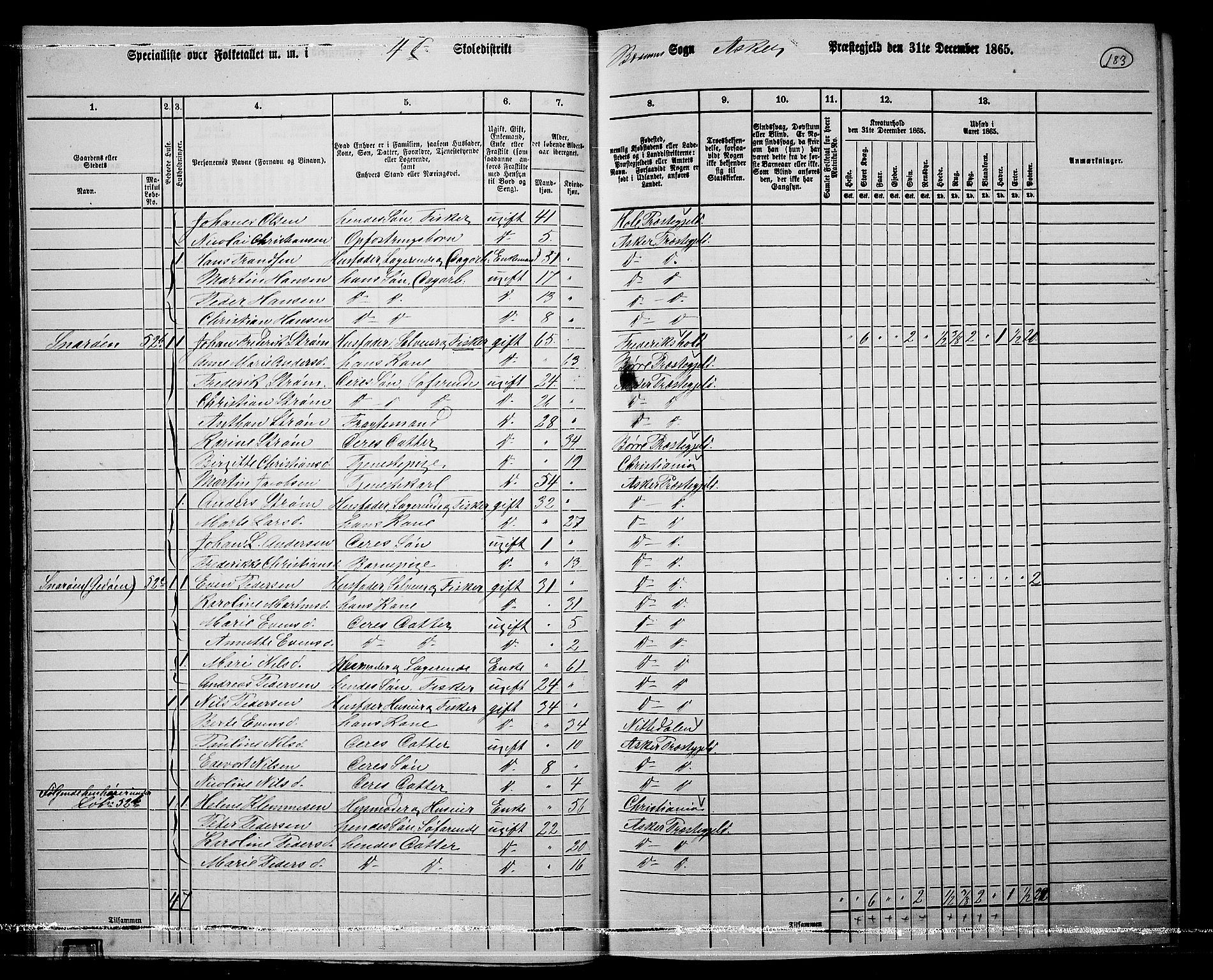 RA, 1865 census for Asker, 1865, p. 180