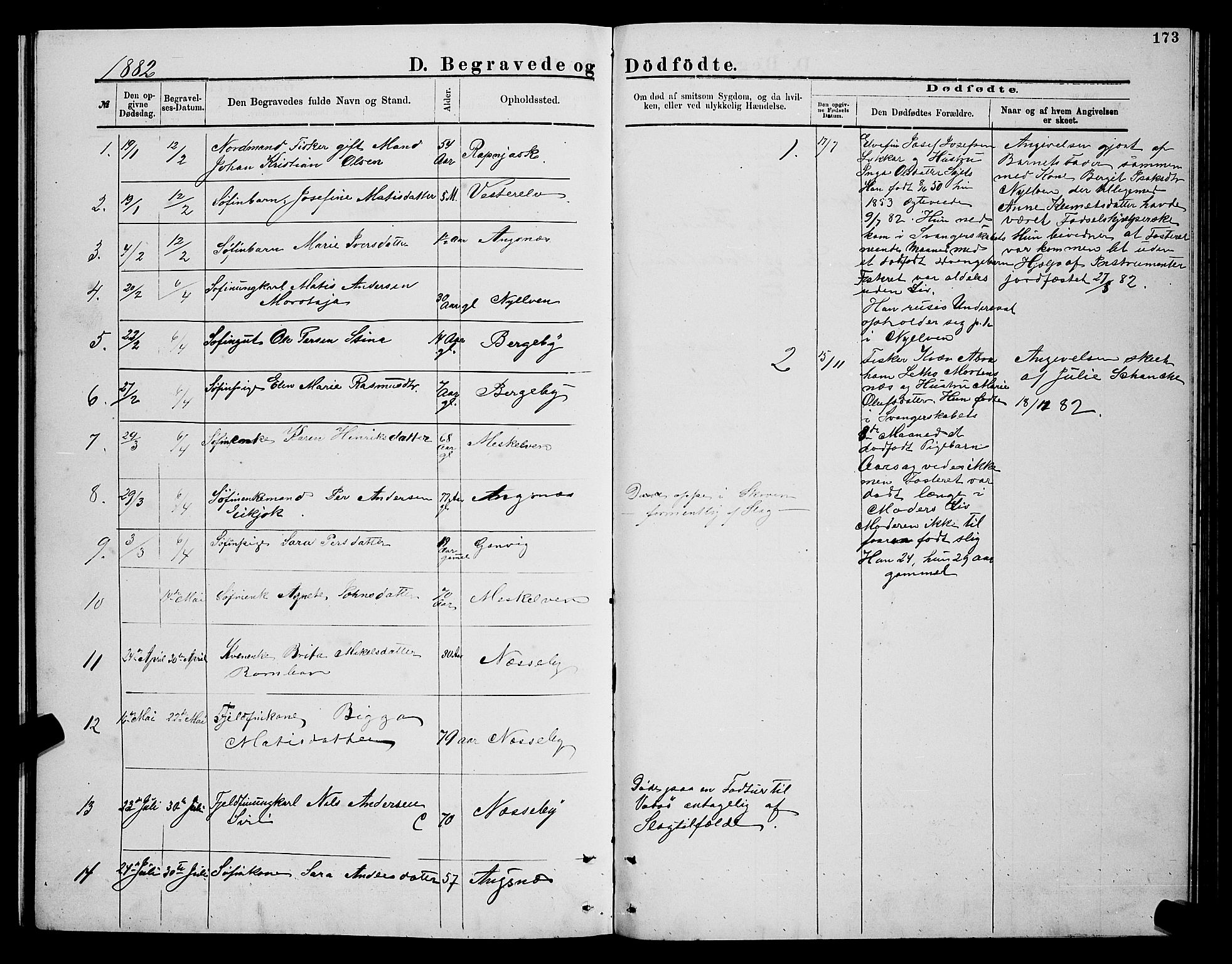 Nesseby sokneprestkontor, SATØ/S-1330/H/Hb/L0004klokker: Parish register (copy) no. 4, 1877-1884, p. 173