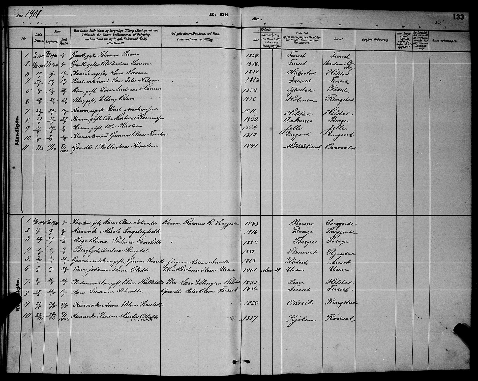 Ministerialprotokoller, klokkerbøker og fødselsregistre - Møre og Romsdal, AV/SAT-A-1454/520/L0292: Parish register (copy) no. 520C04, 1882-1901, p. 133