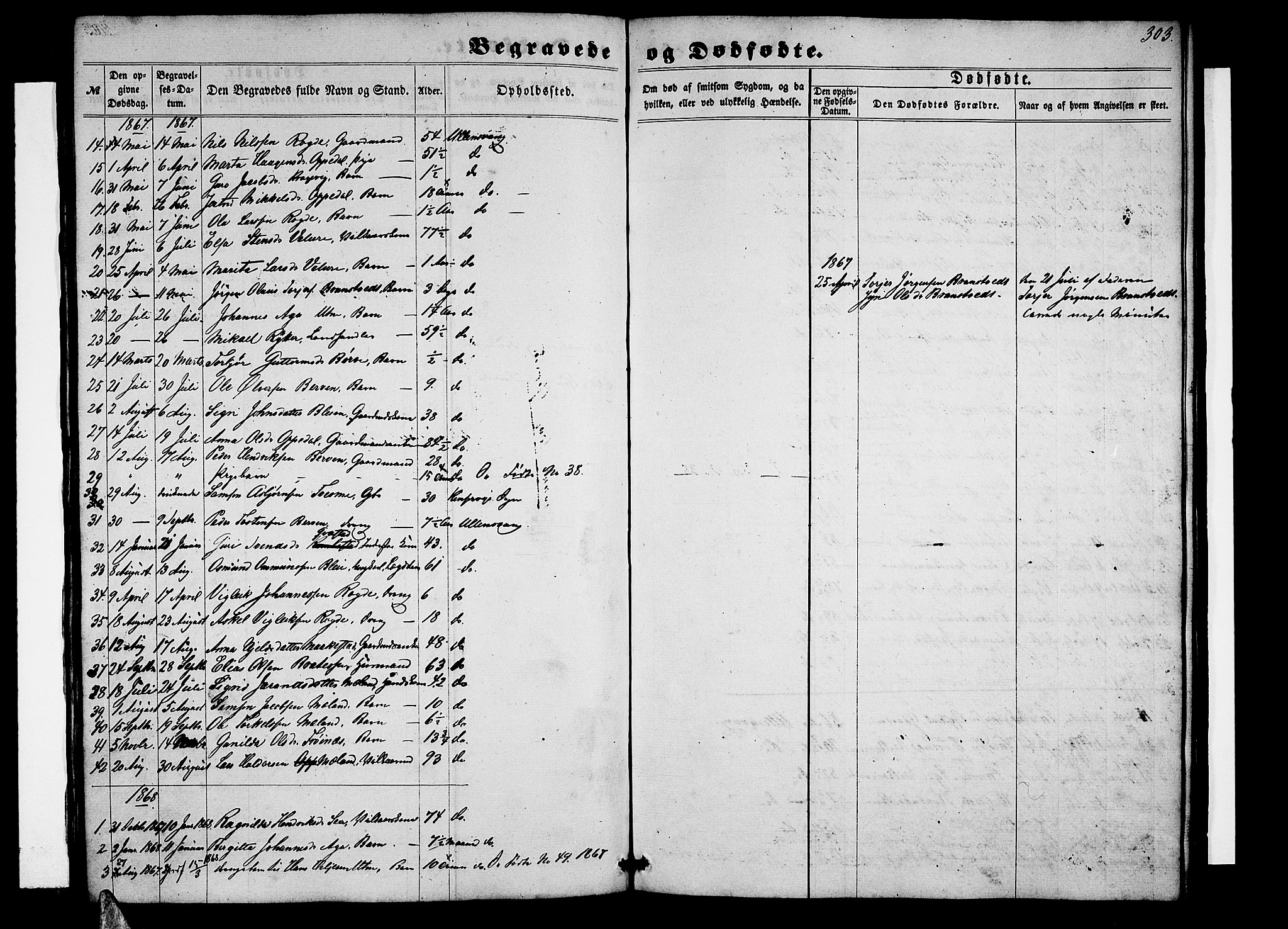 Ullensvang sokneprestembete, SAB/A-78701/H/Hab: Parish register (copy) no. B 10, 1858-1886, p. 303