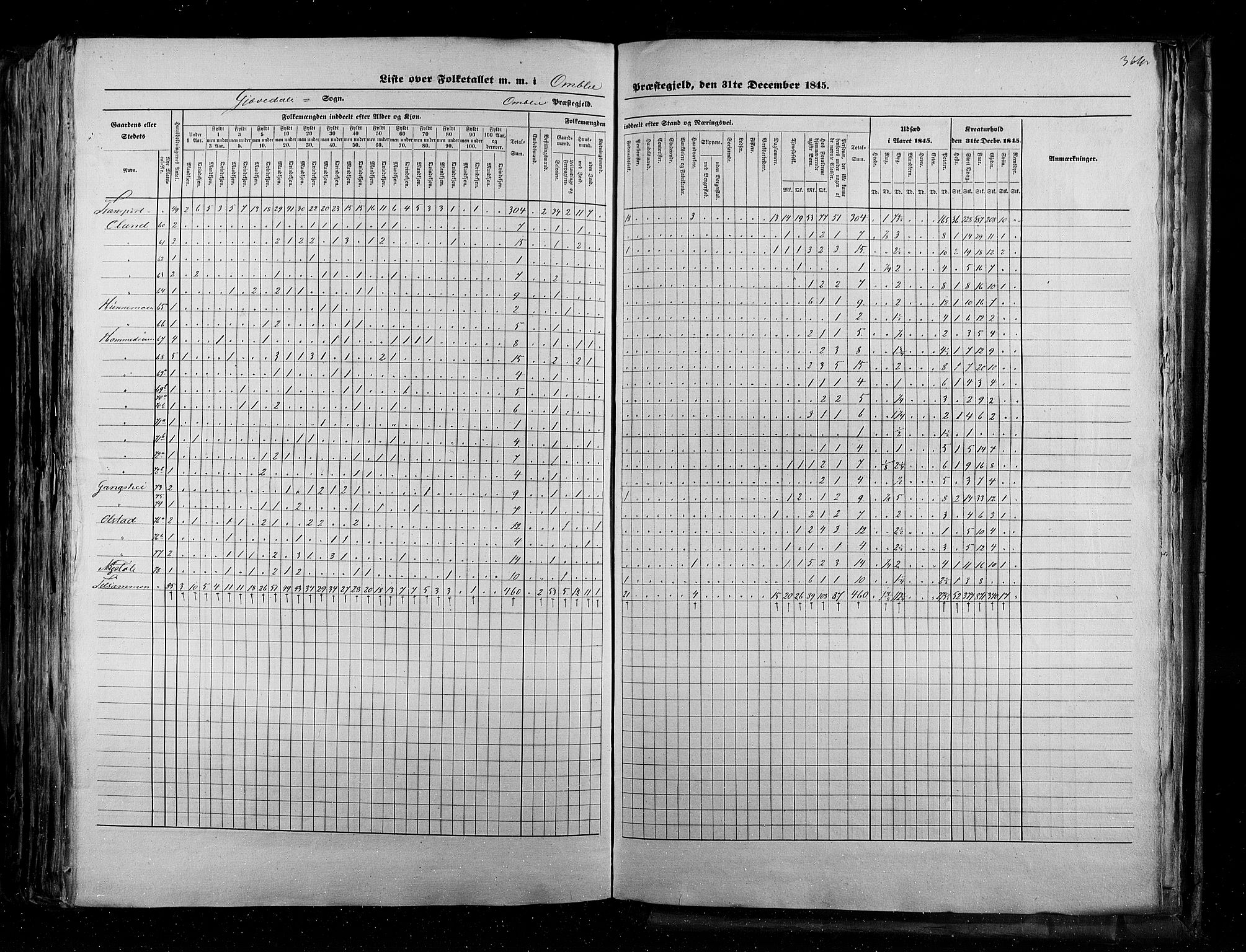 RA, Census 1845, vol. 5: Bratsberg amt og Nedenes og Råbyggelaget amt, 1845, p. 364