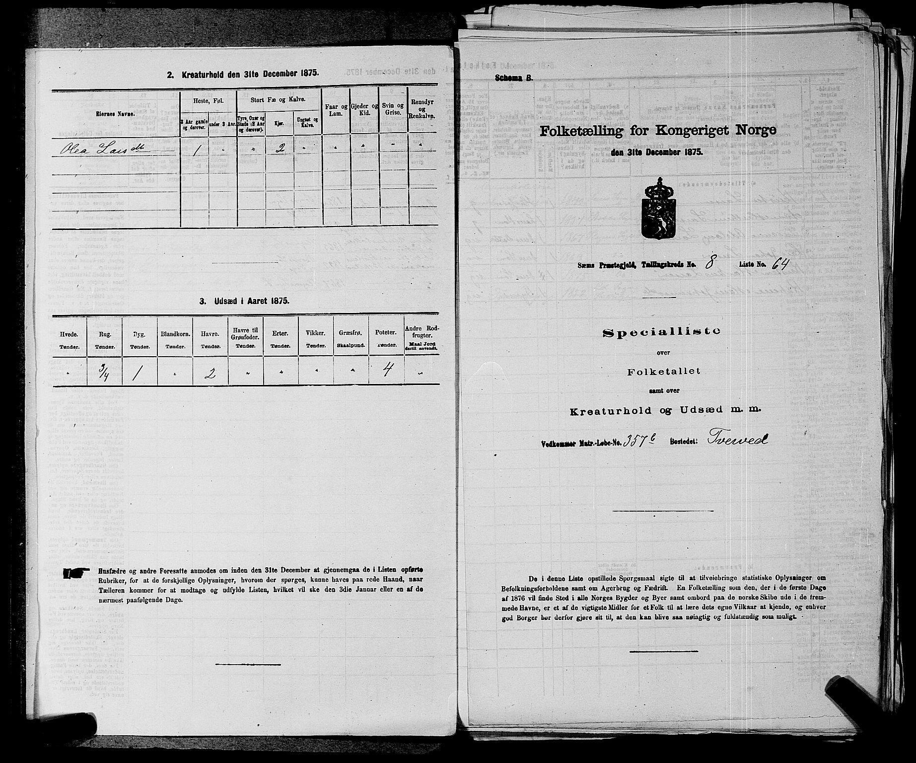 SAKO, 1875 census for 0721P Sem, 1875, p. 1375