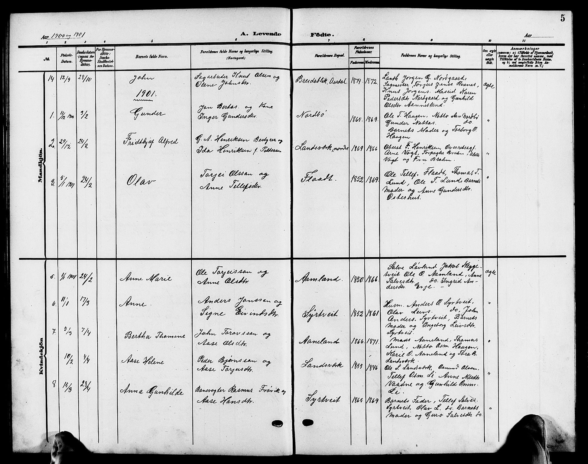 Evje sokneprestkontor, AV/SAK-1111-0008/F/Fb/Fba/L0004: Parish register (copy) no. B 4, 1899-1914, p. 5