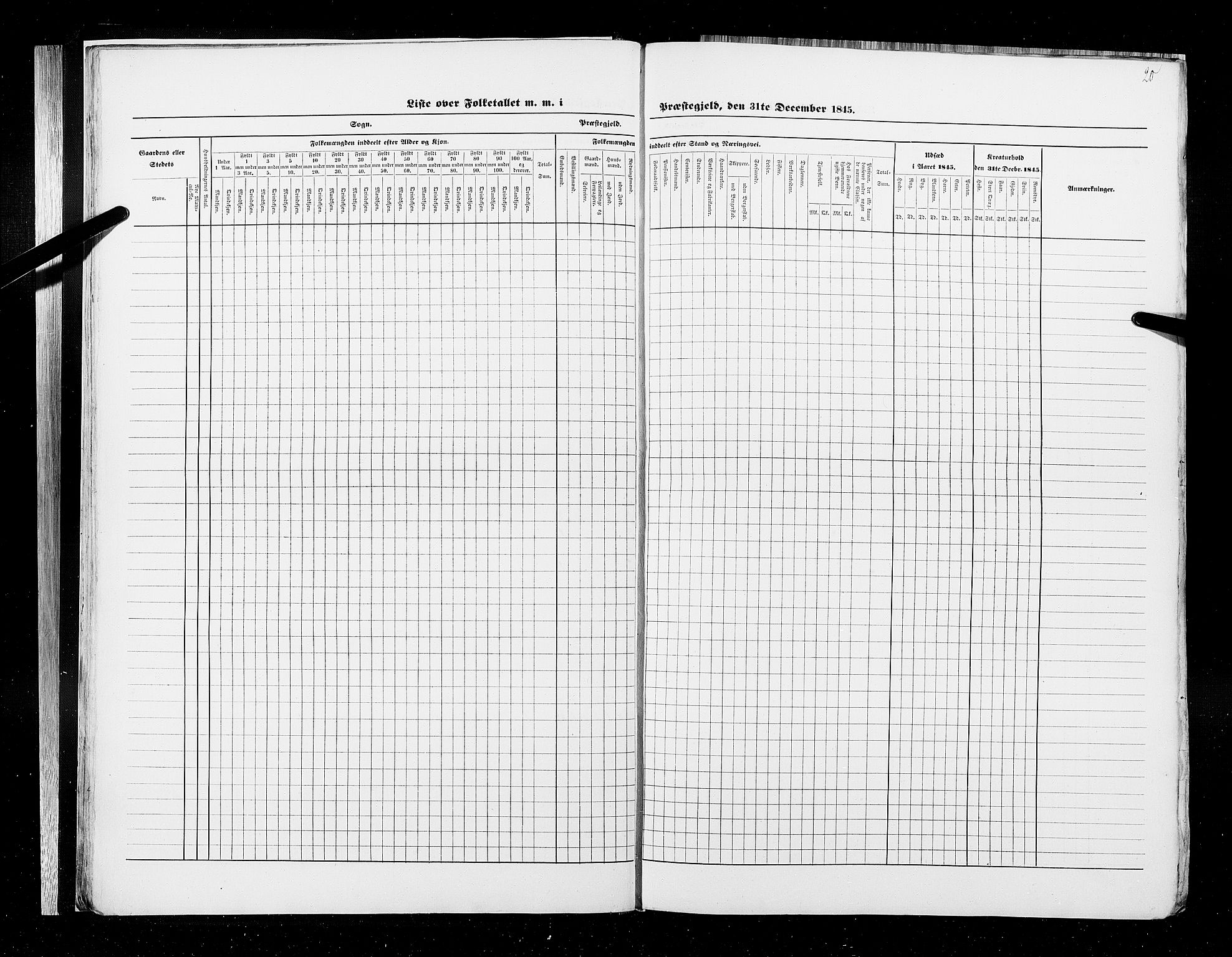 RA, Census 1845, vol. 9A: Nordre Trondhjems amt, 1845, p. 20