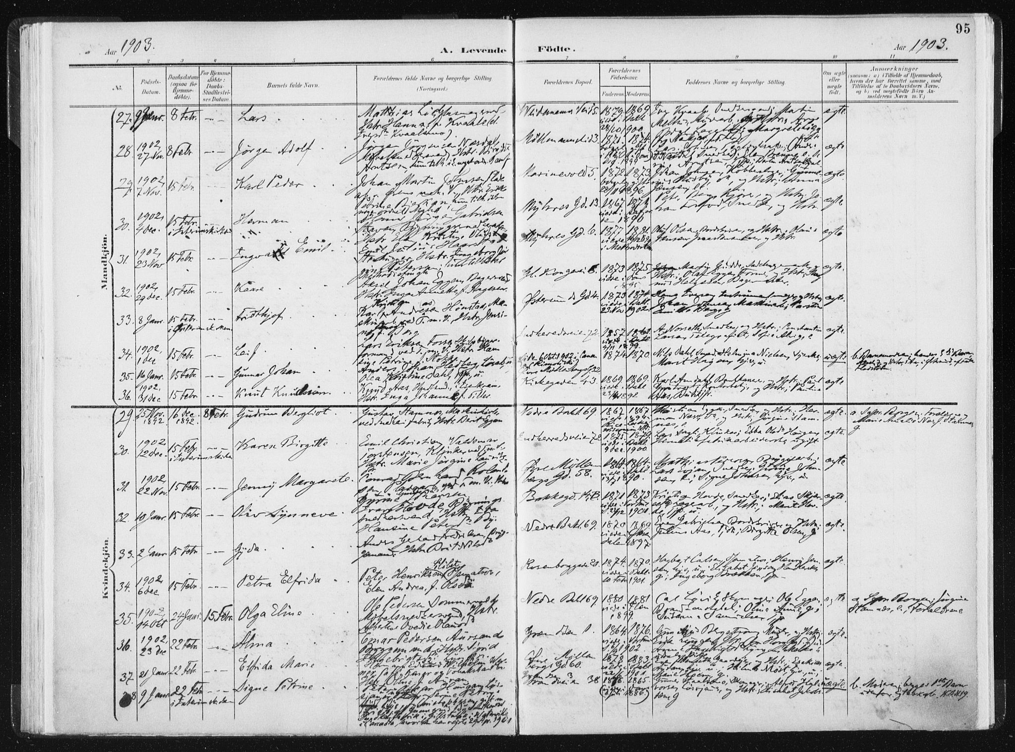 Ministerialprotokoller, klokkerbøker og fødselsregistre - Sør-Trøndelag, AV/SAT-A-1456/604/L0199: Parish register (official) no. 604A20I, 1901-1906, p. 95