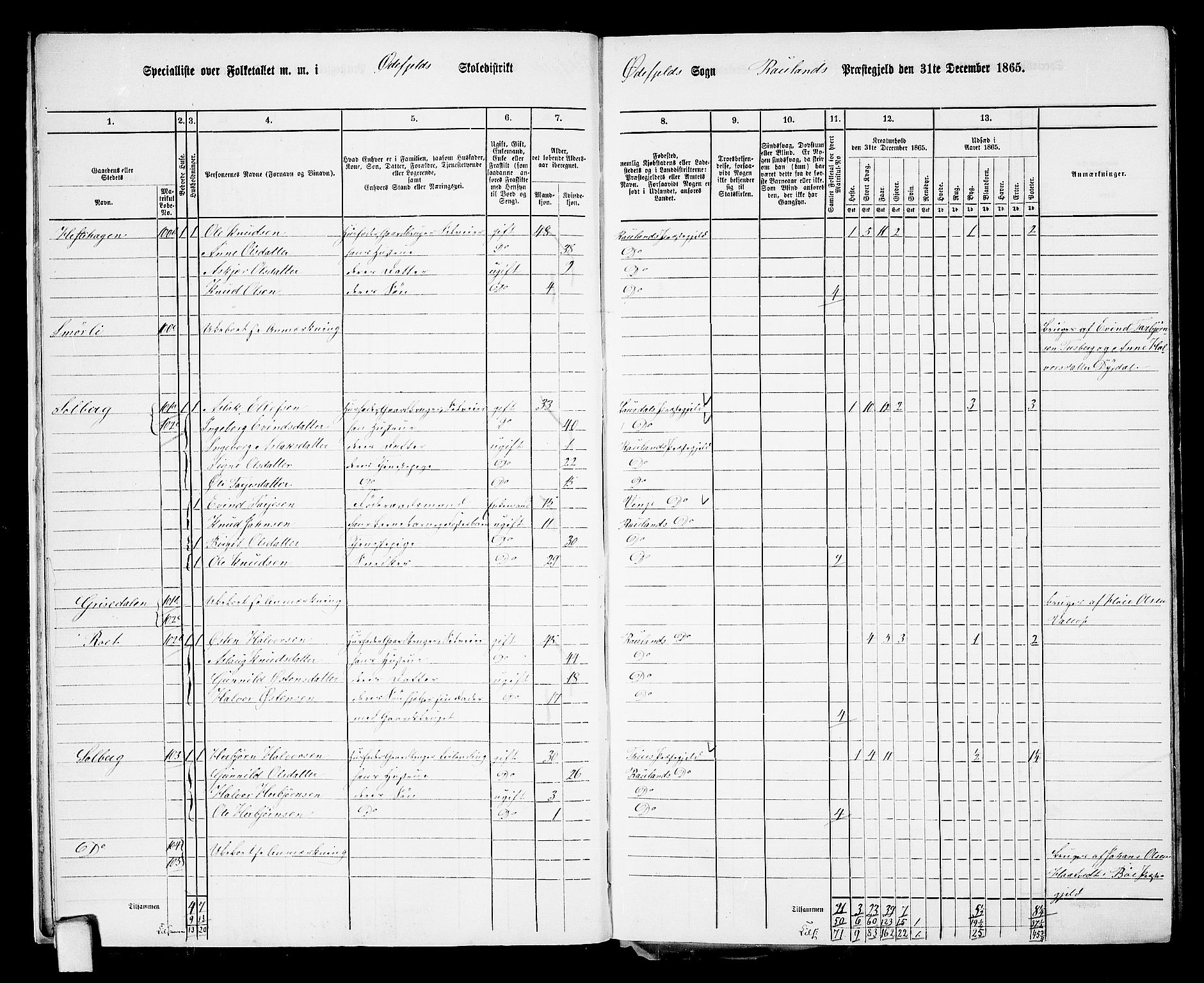 RA, 1865 census for Rauland, 1865, p. 14