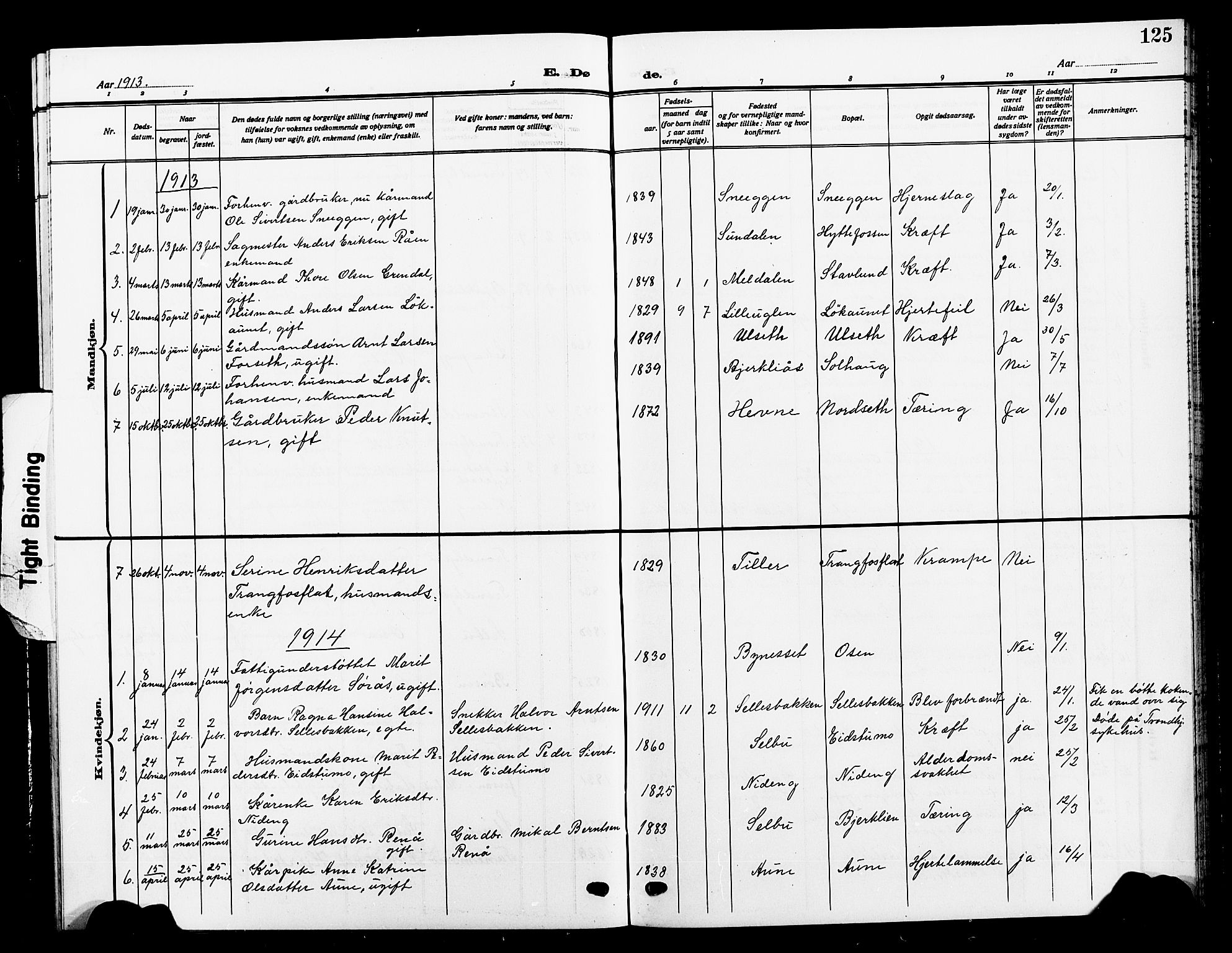 Ministerialprotokoller, klokkerbøker og fødselsregistre - Sør-Trøndelag, AV/SAT-A-1456/618/L0453: Parish register (copy) no. 618C04, 1907-1925, p. 125