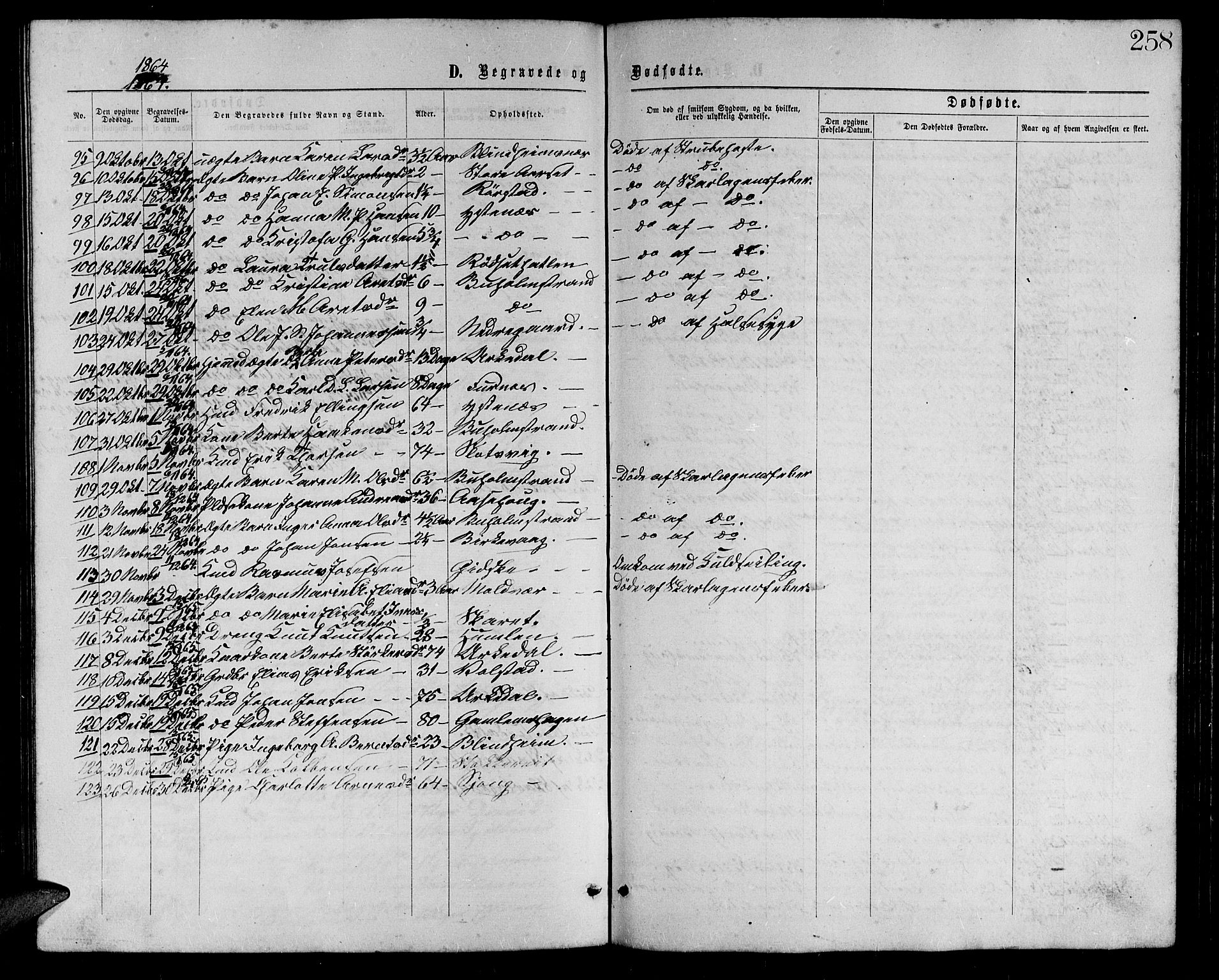 Ministerialprotokoller, klokkerbøker og fødselsregistre - Møre og Romsdal, AV/SAT-A-1454/528/L0428: Parish register (copy) no. 528C09, 1864-1880, p. 258