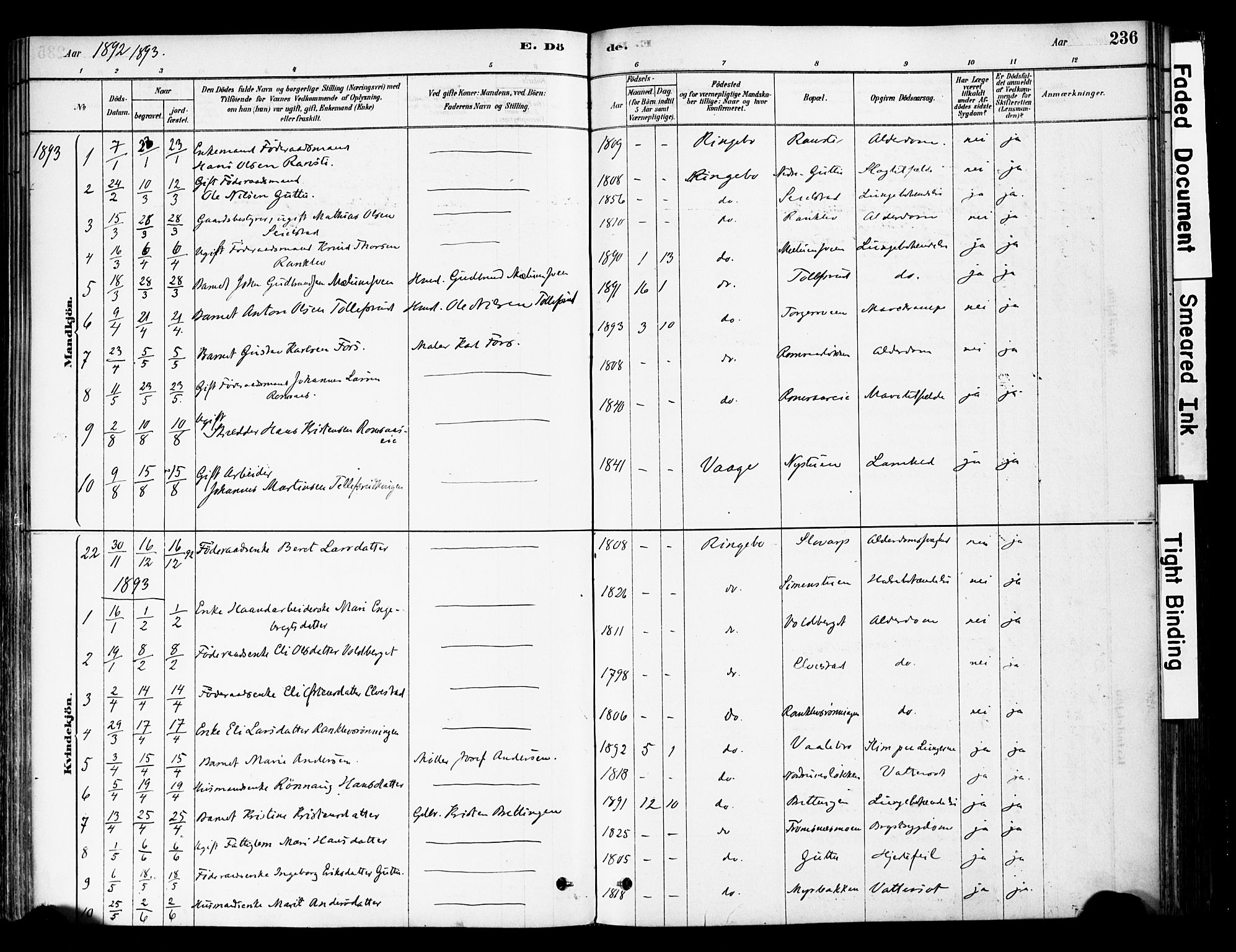 Ringebu prestekontor, AV/SAH-PREST-082/H/Ha/Haa/L0008: Parish register (official) no. 8, 1878-1898, p. 236