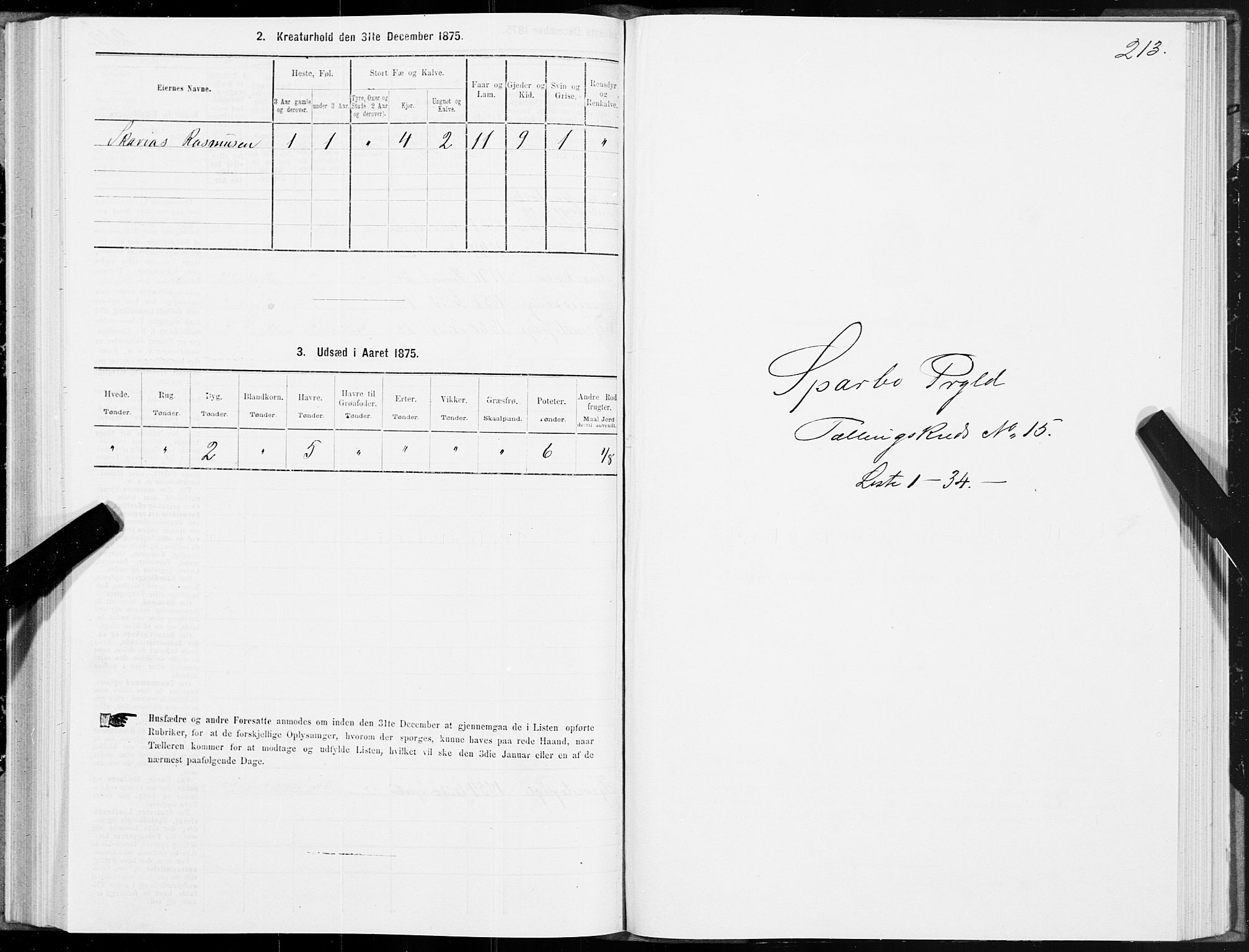 SAT, 1875 census for 1731P Sparbu, 1875, p. 5213