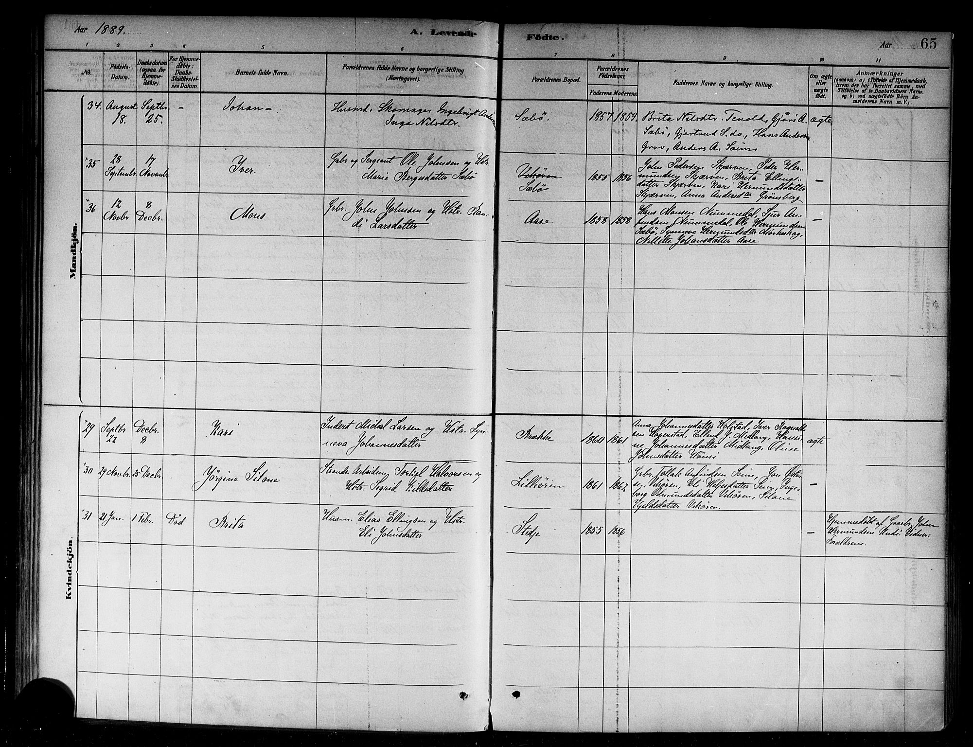 Vik sokneprestembete, AV/SAB-A-81501/H/Haa/Haab/L0001: Parish register (official) no. B 1, 1878-1890, p. 65