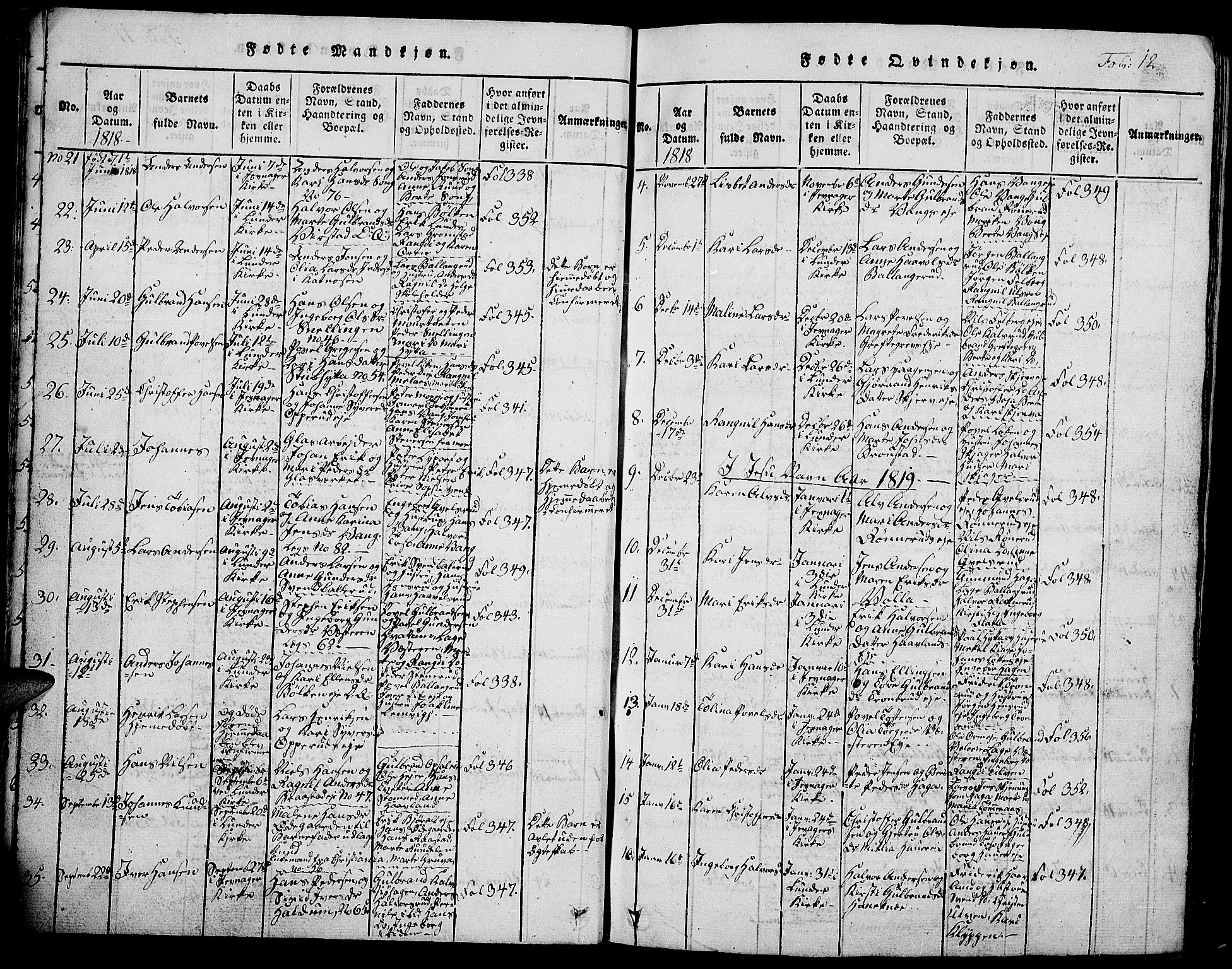 Jevnaker prestekontor, SAH/PREST-116/H/Ha/Hab/L0001: Parish register (copy) no. 1, 1815-1837, p. 12
