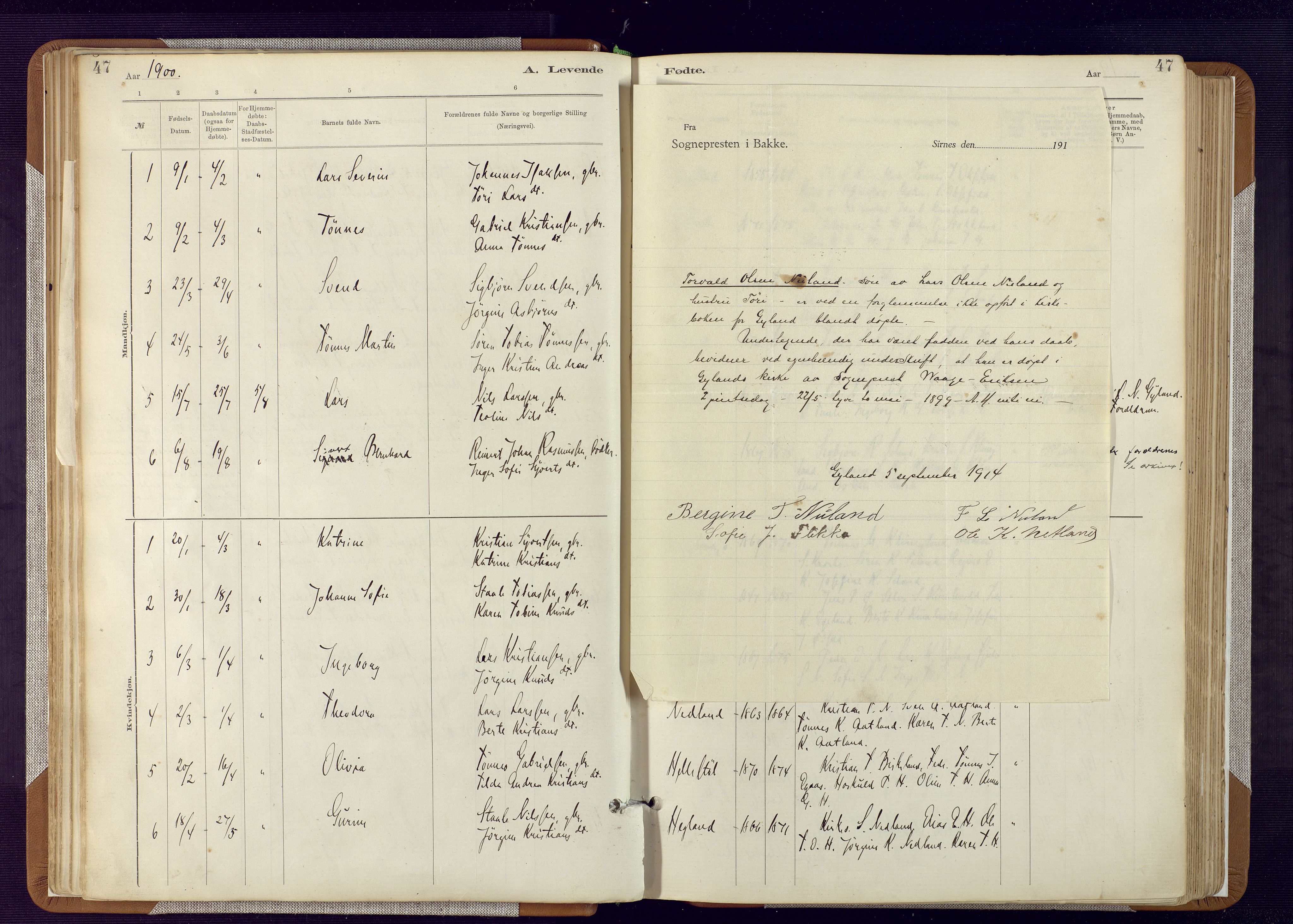 Bakke sokneprestkontor, SAK/1111-0002/F/Fa/Fab/L0003: Parish register (official) no. A 3, 1884-1921, p. 47