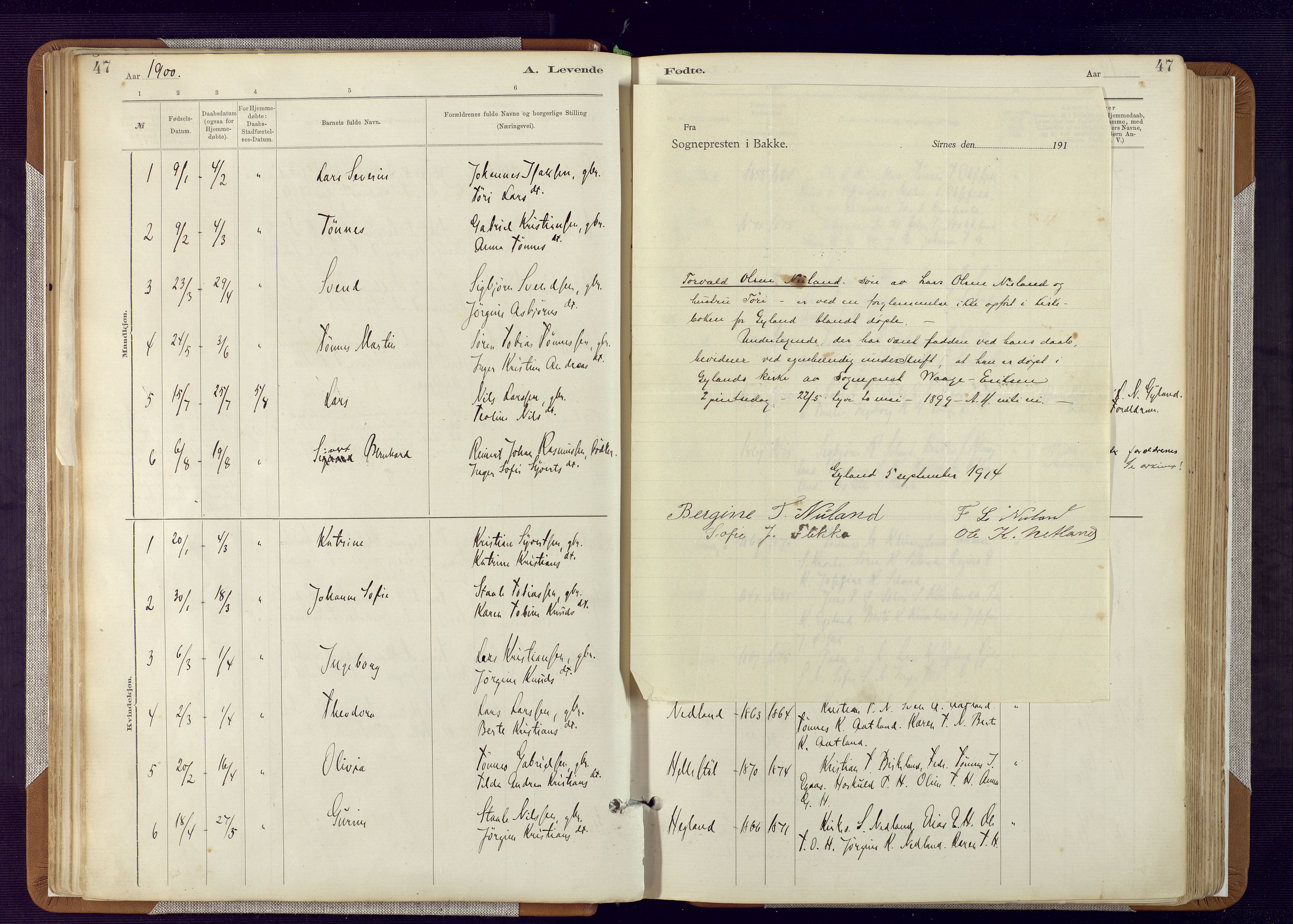 Bakke sokneprestkontor, AV/SAK-1111-0002/F/Fa/Fab/L0003: Parish register (official) no. A 3, 1884-1921, p. 47