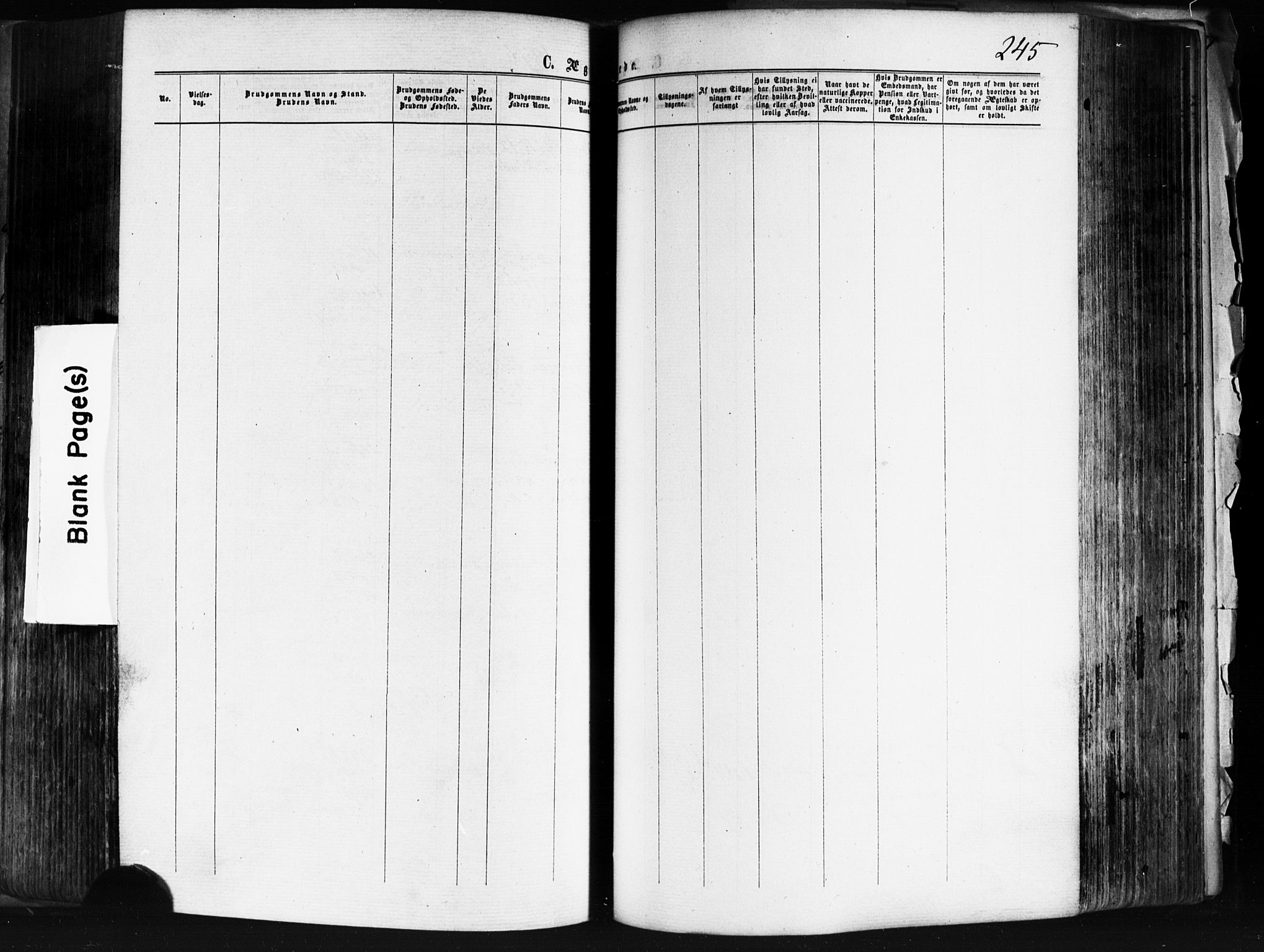Skedsmo prestekontor Kirkebøker, AV/SAO-A-10033a/F/Fa/L0011: Parish register (official) no. I 11, 1866-1876, p. 245